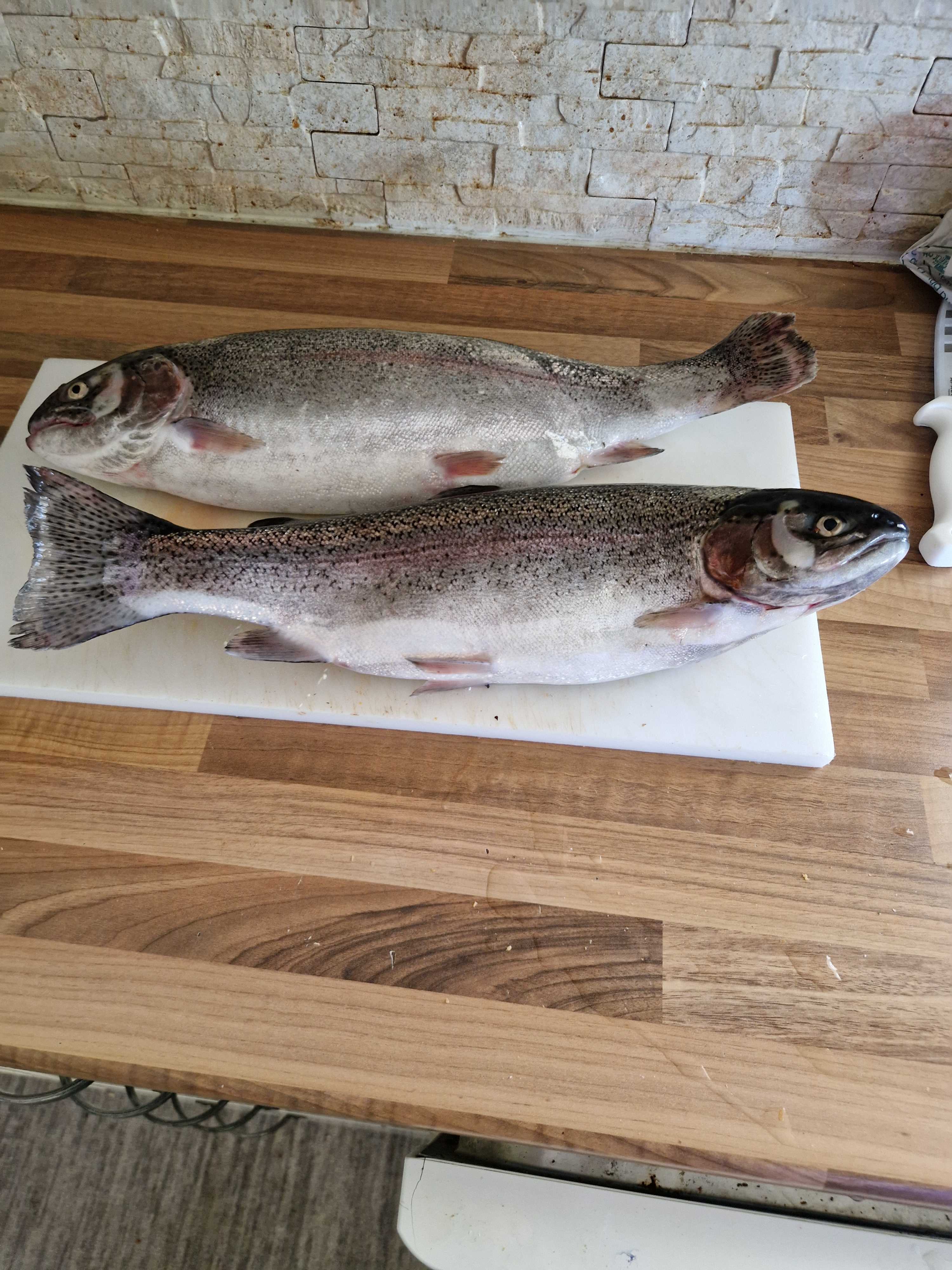 Kuva saaliista