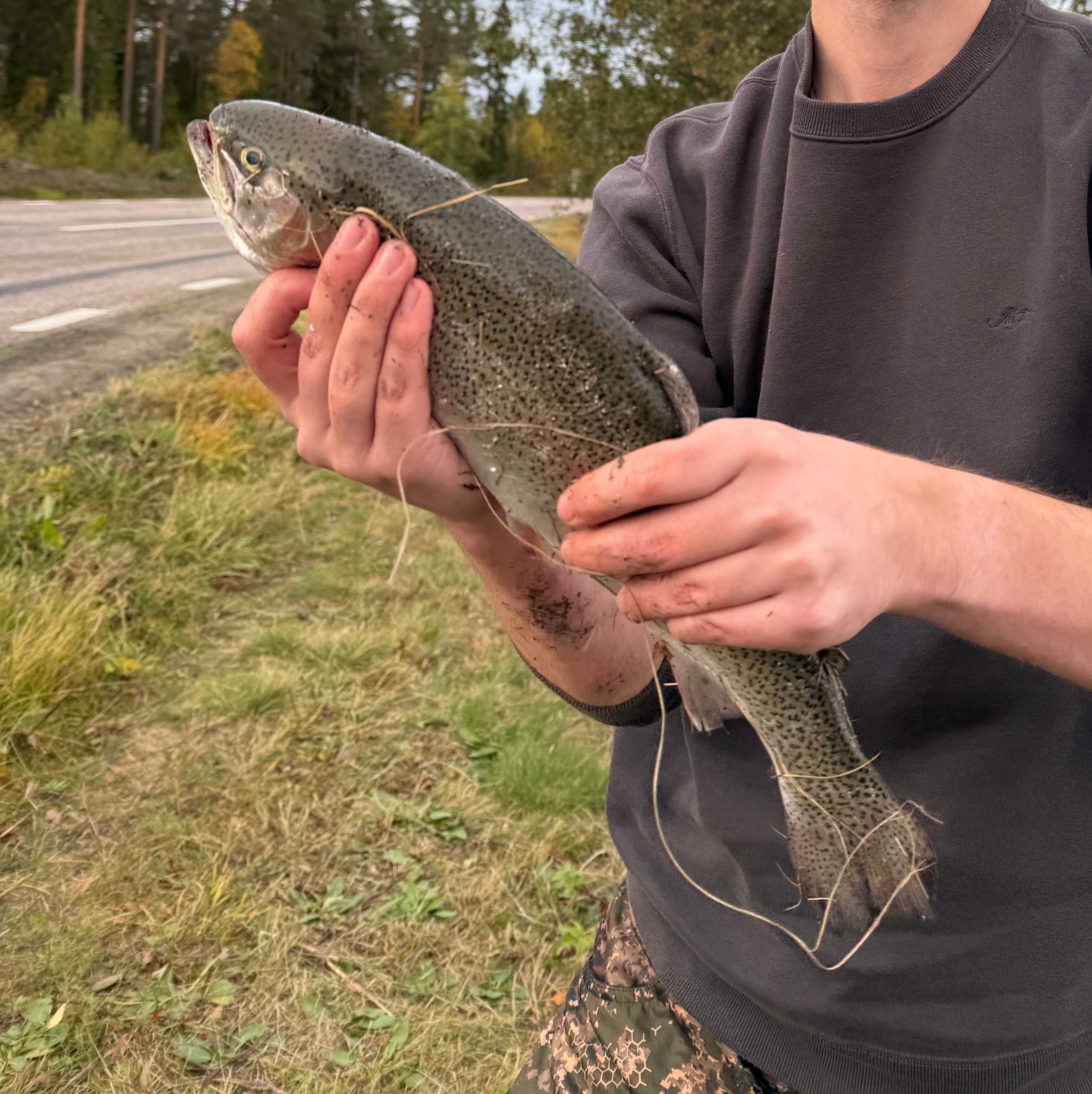 Fångstrapportbild