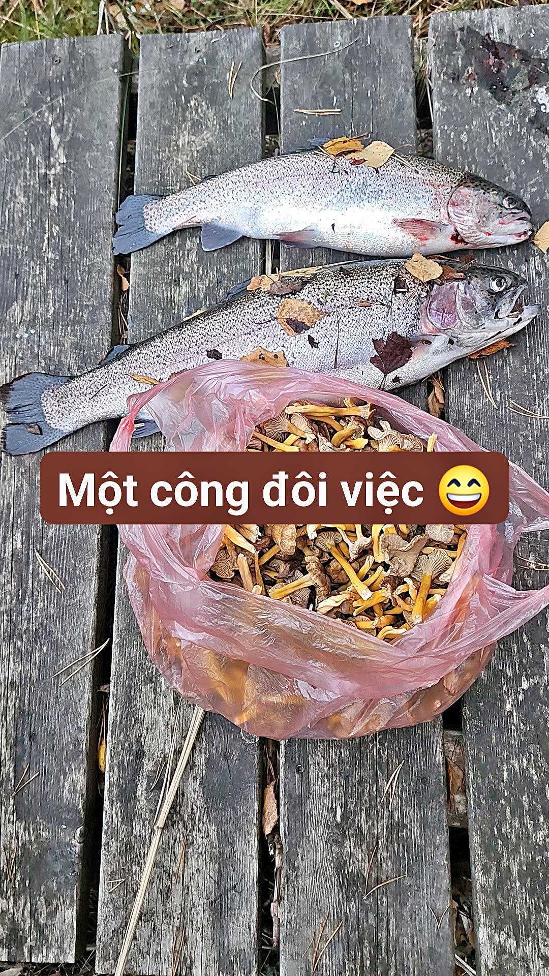 Kuva saaliista