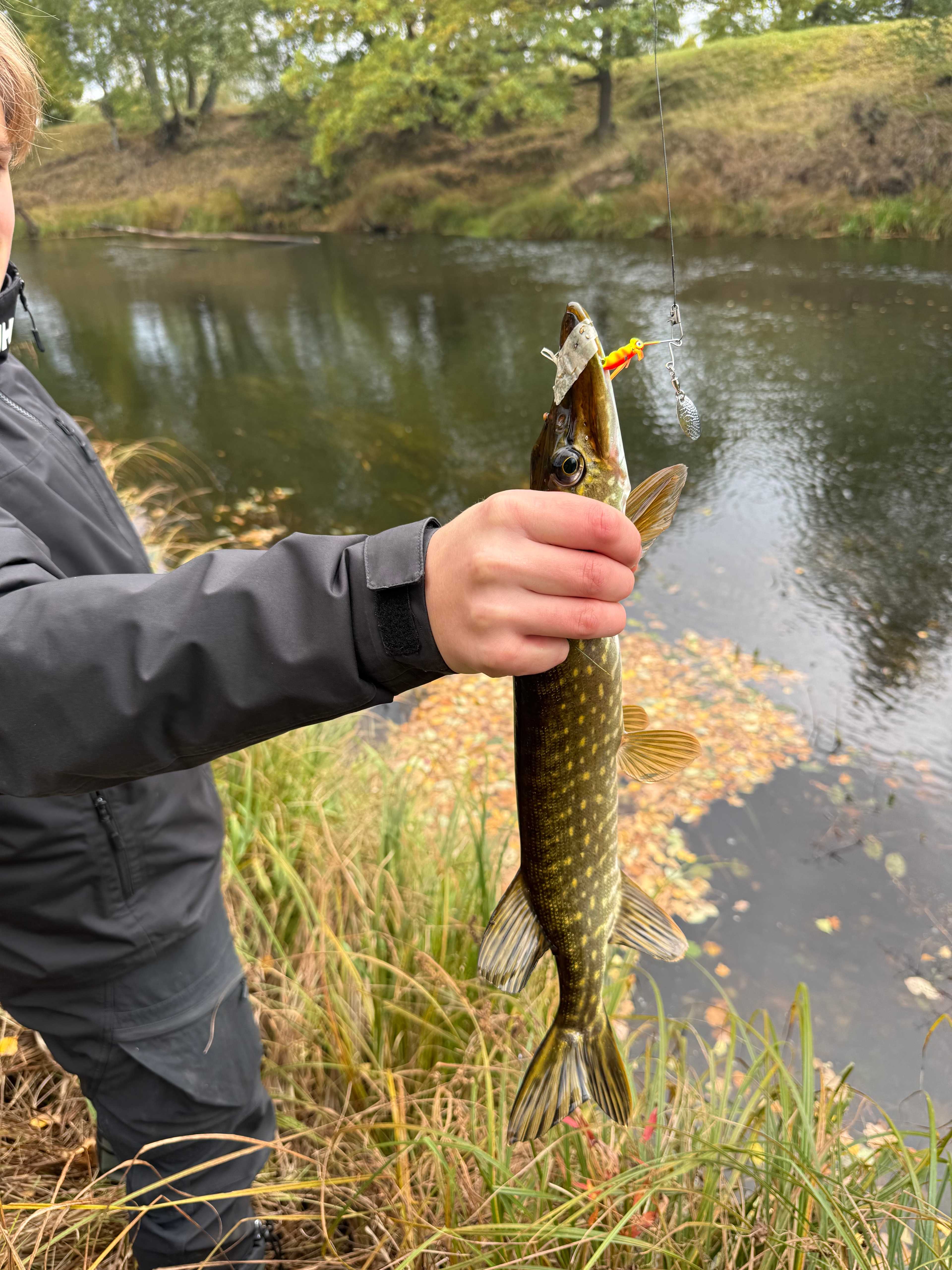Image of catch