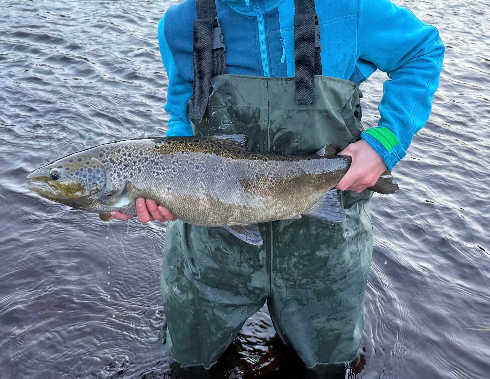 Kuva saaliista