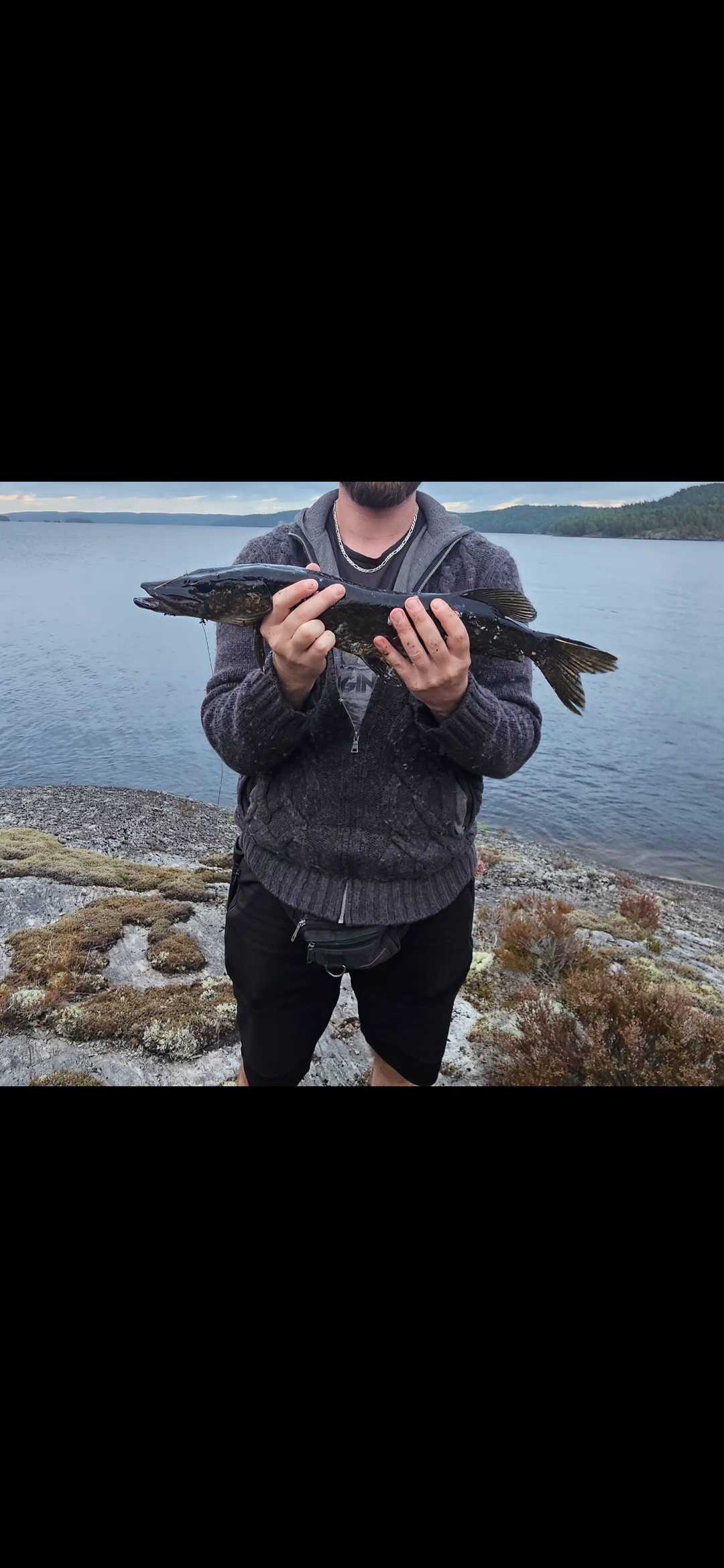 Kuva saaliista