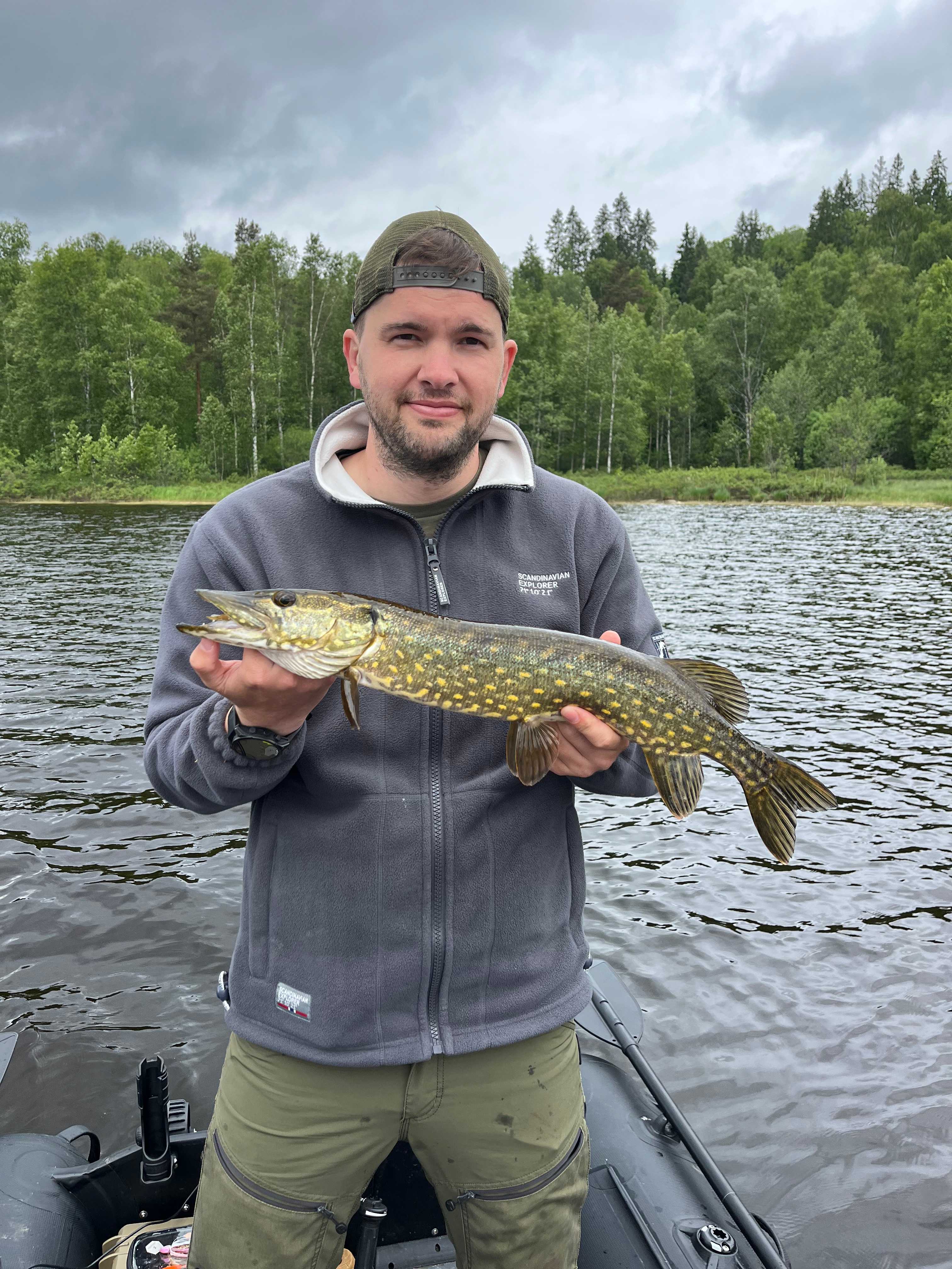 Kuva saaliista