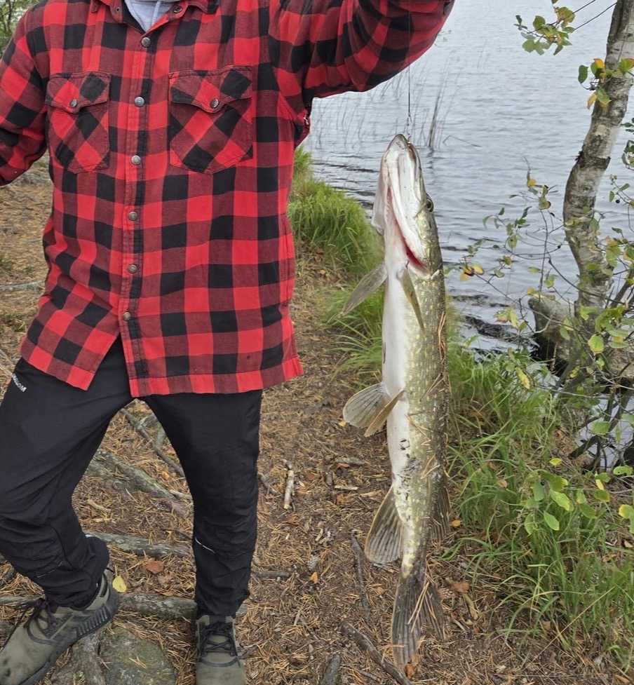 Kuva saaliista