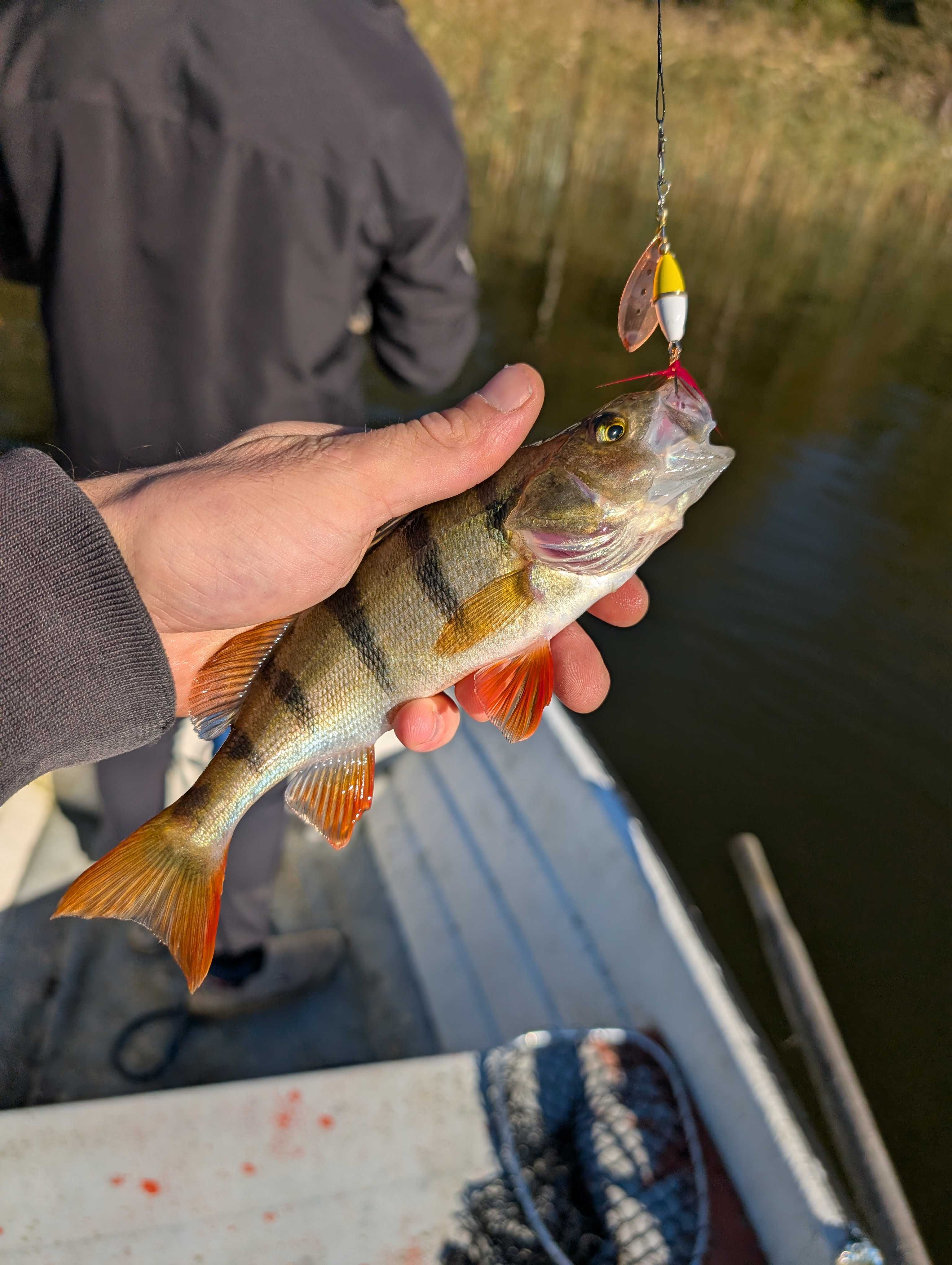 Image of catch