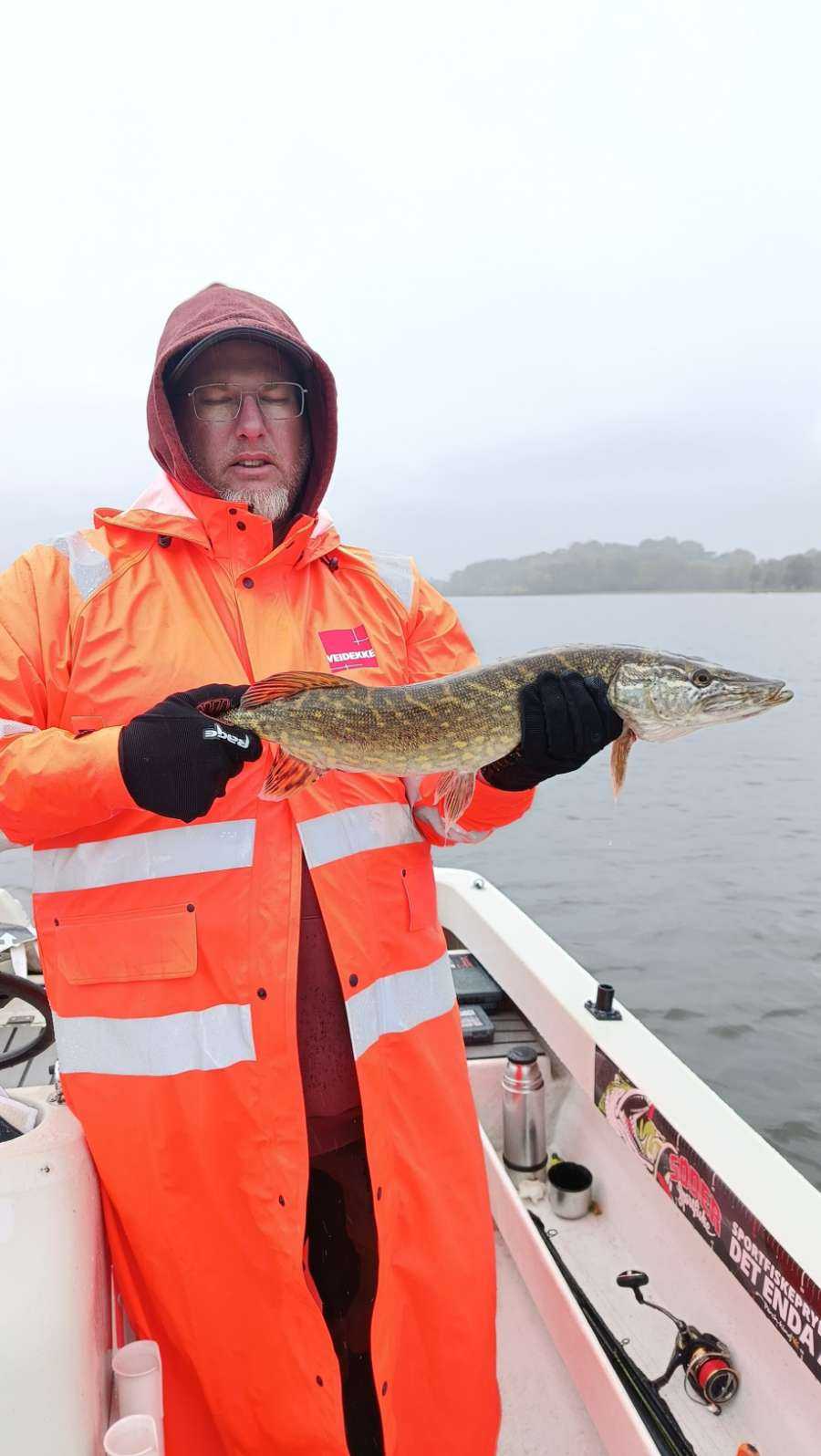Fångstrapportbild