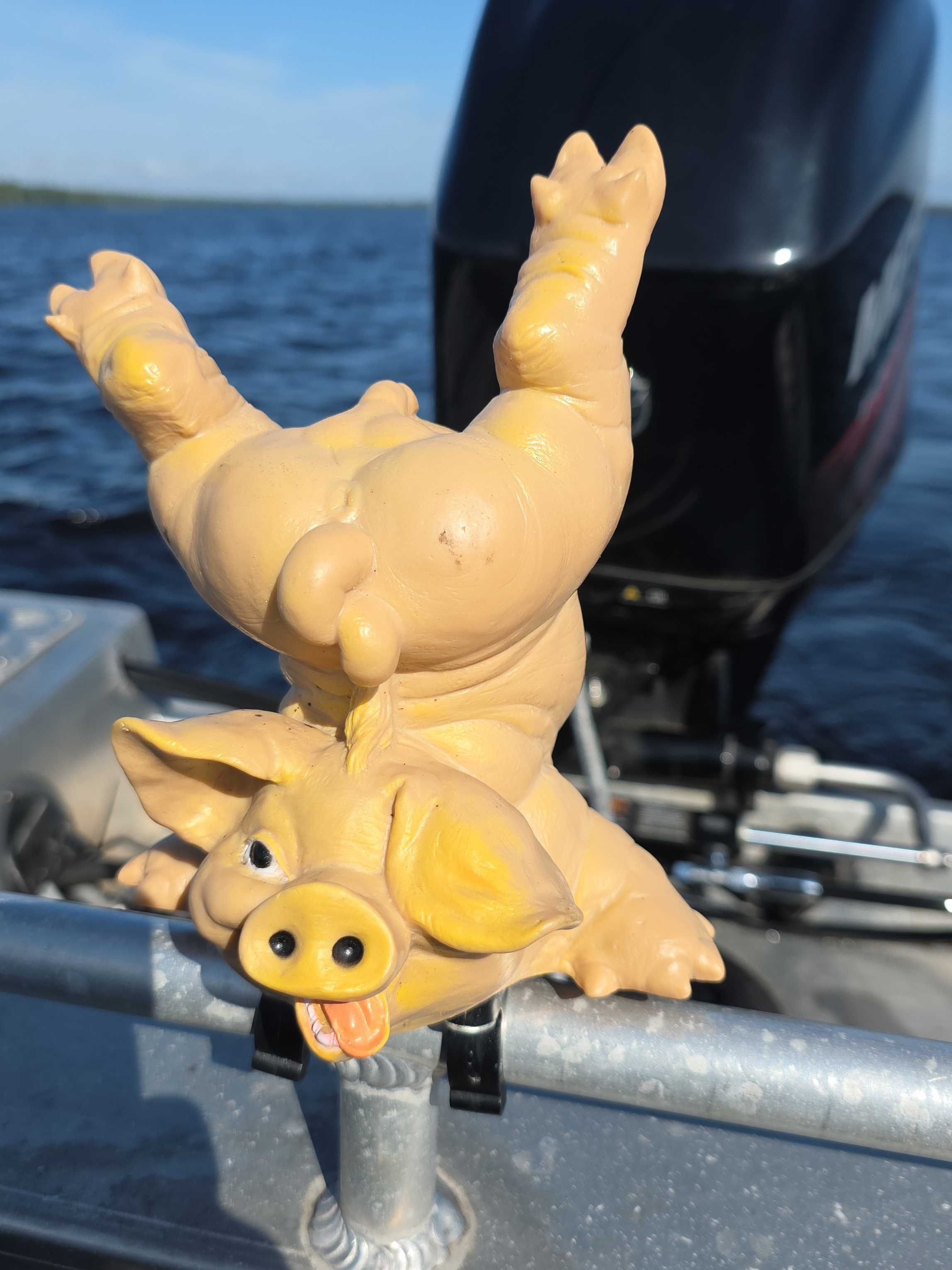 Kuva saaliista