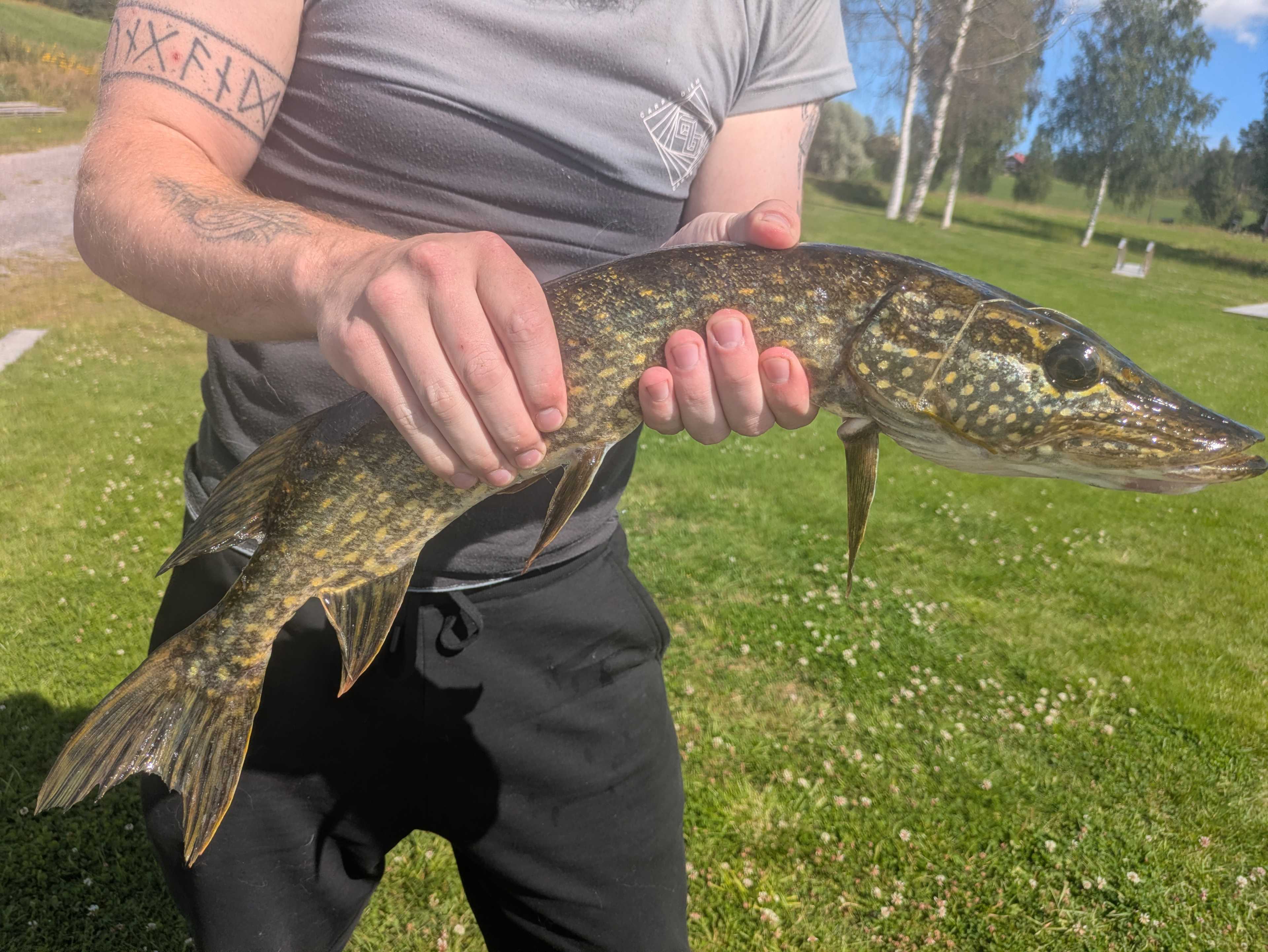 Kuva saaliista