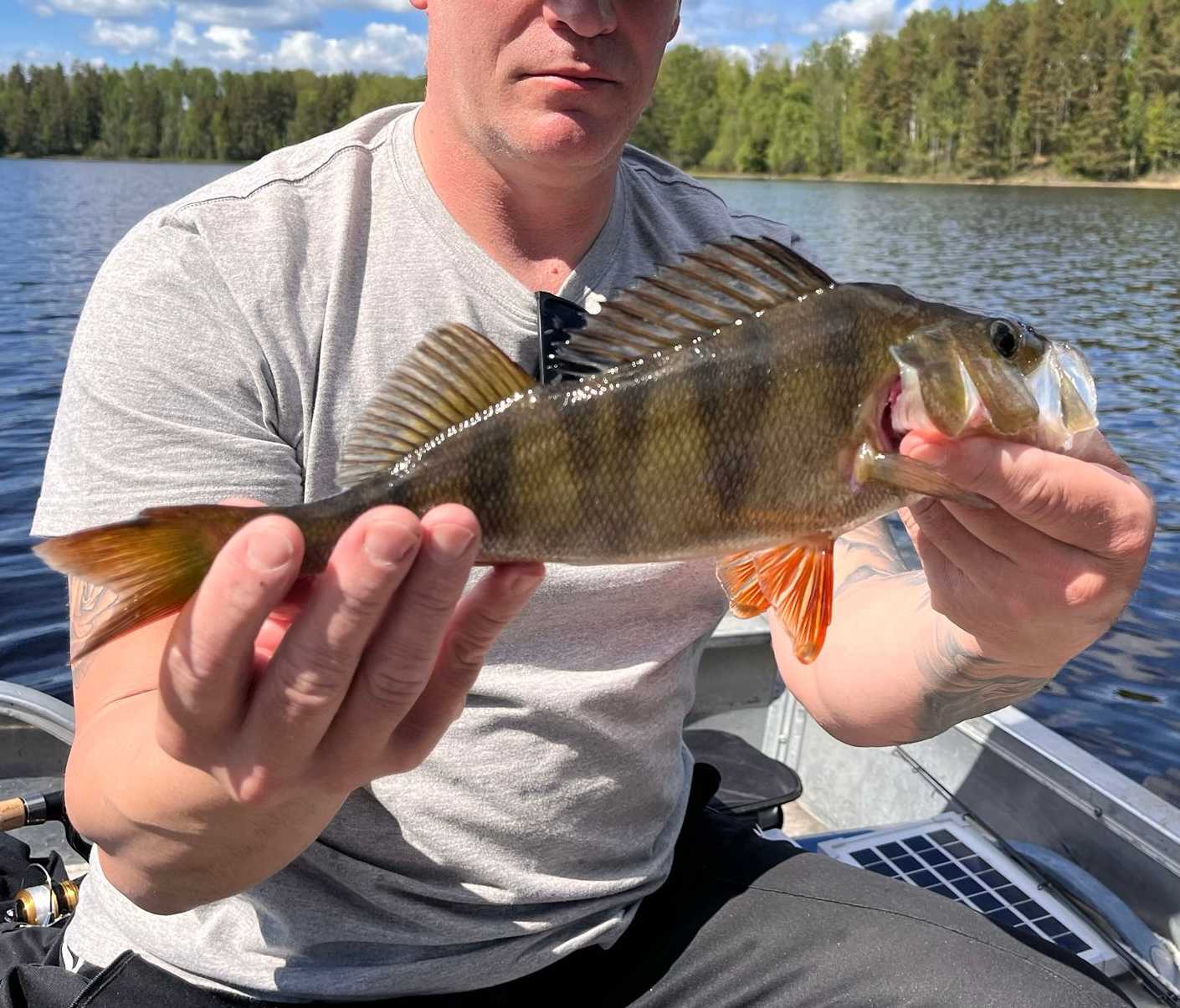 Kuva saaliista