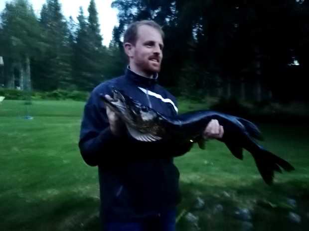 Bild des Fangs