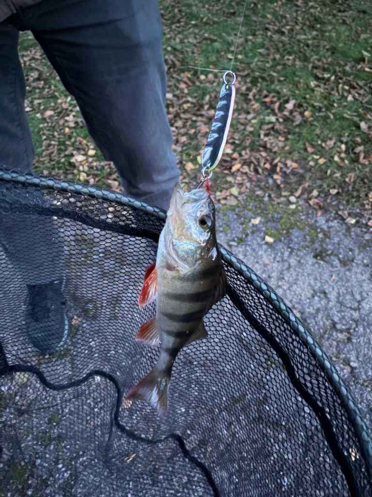 Image of catch