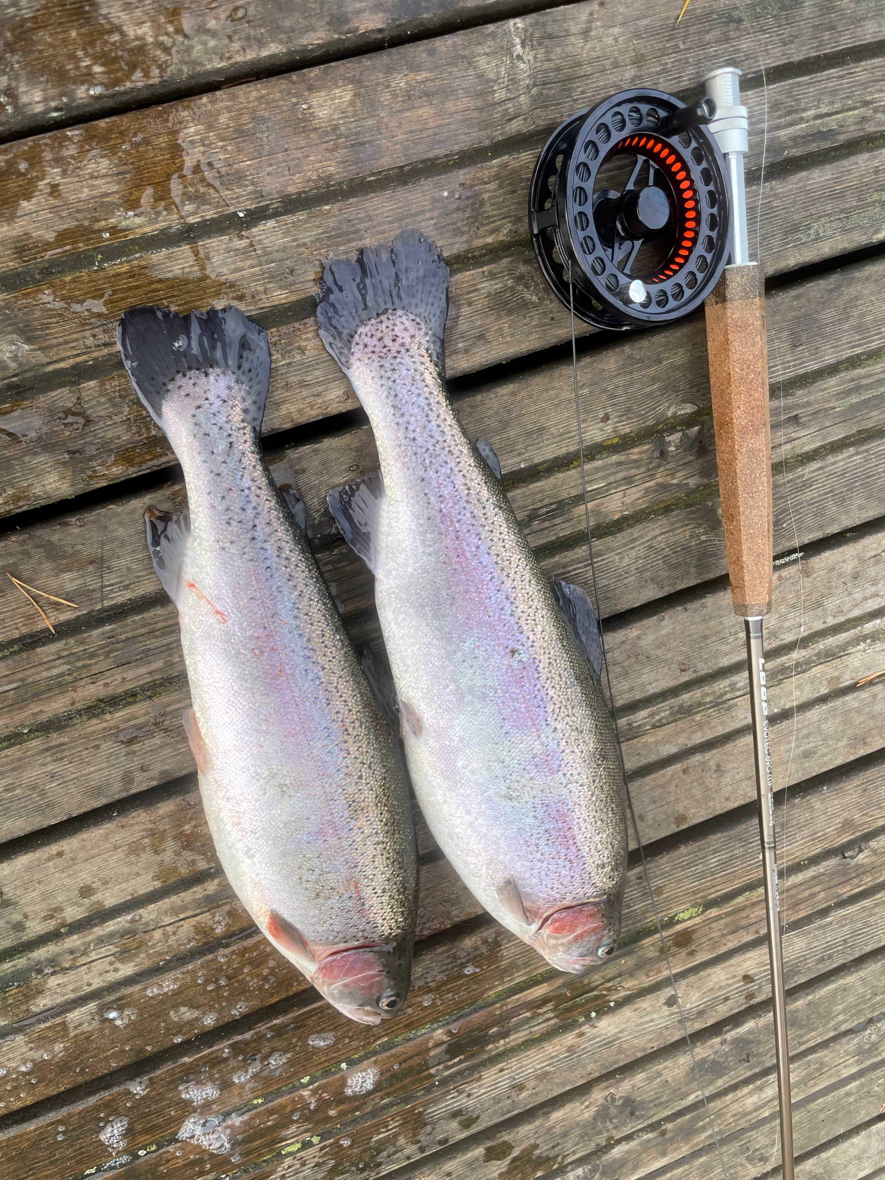Image of catch