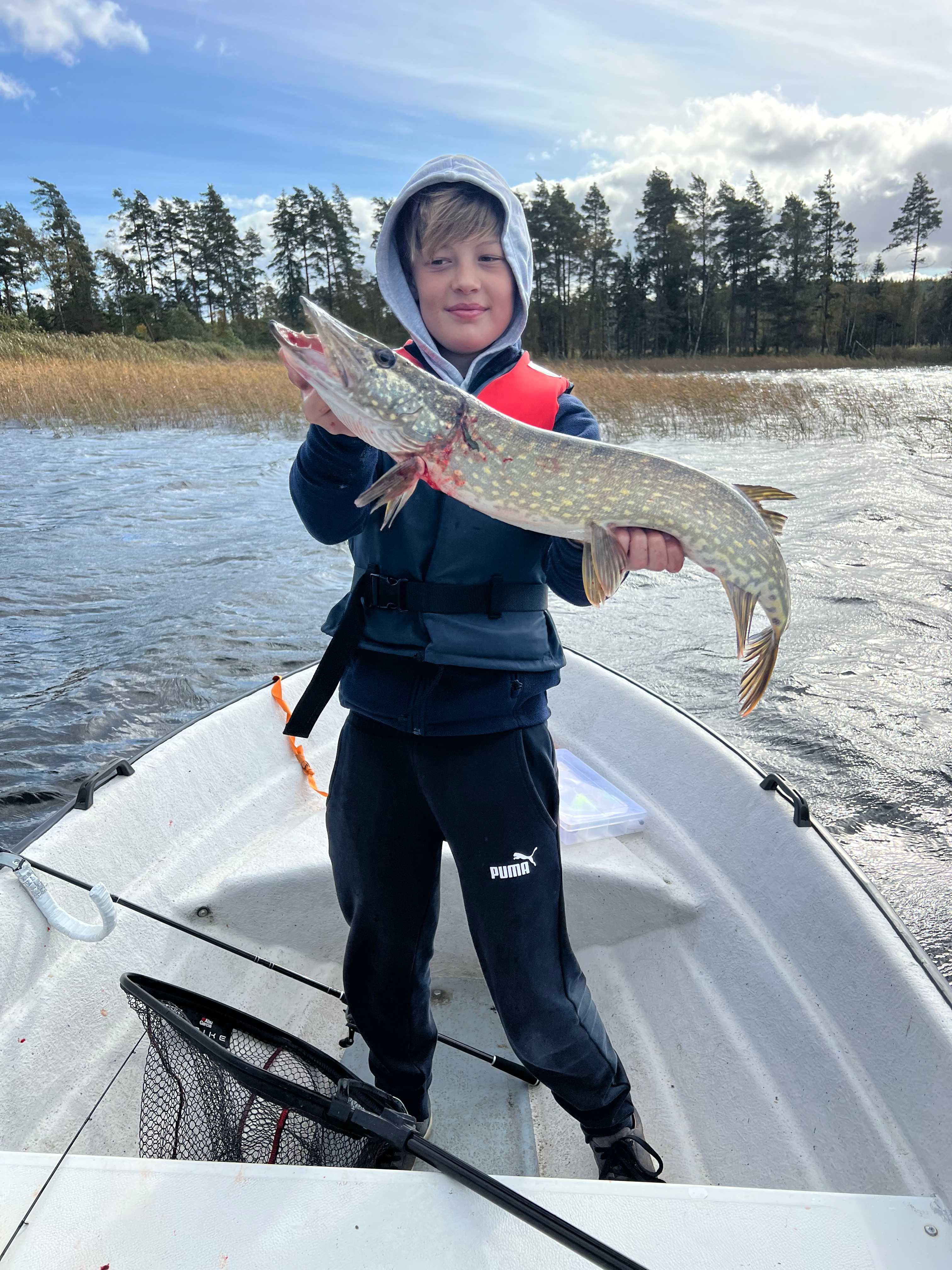 Fångstrapportbild