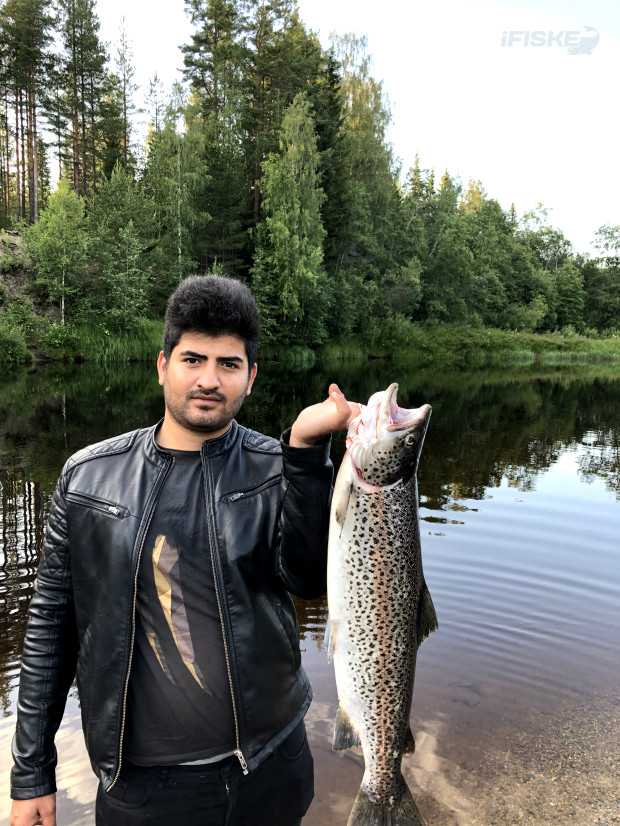 Kuva saaliista