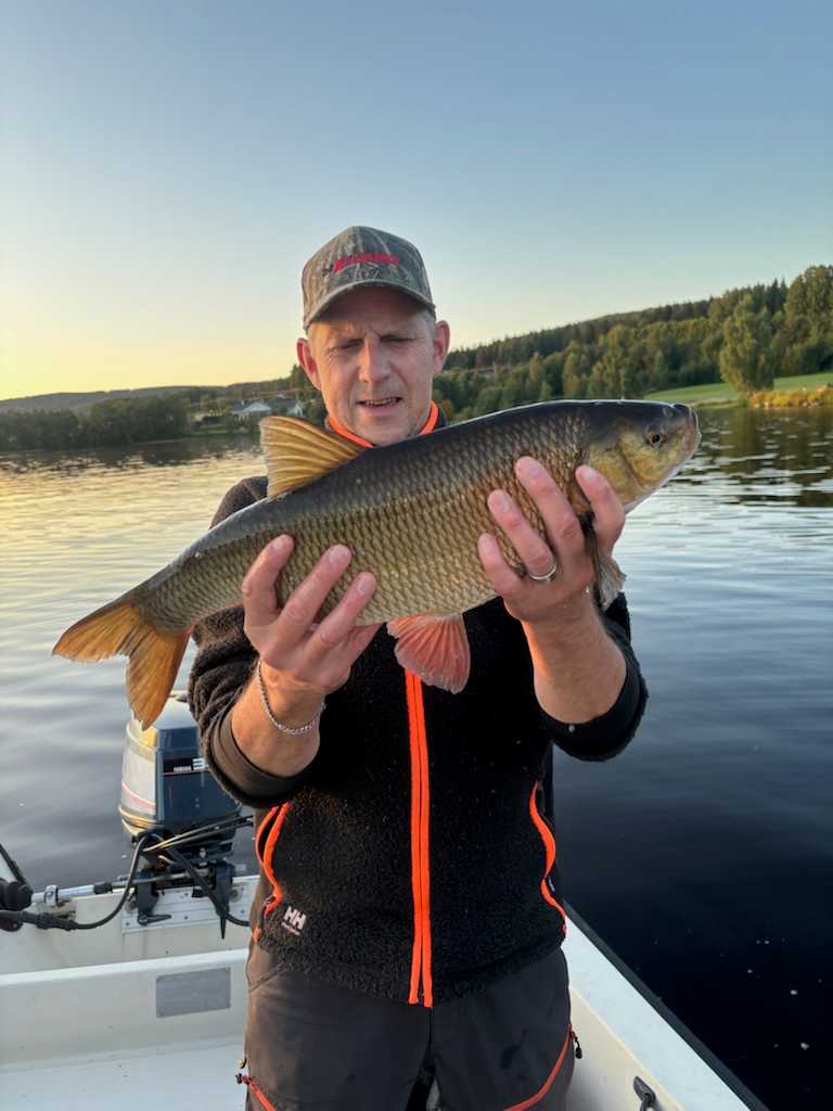 Image of catch