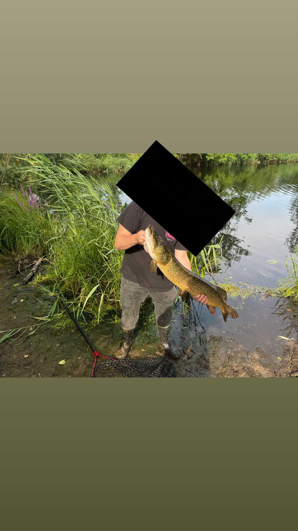 Kuva saaliista