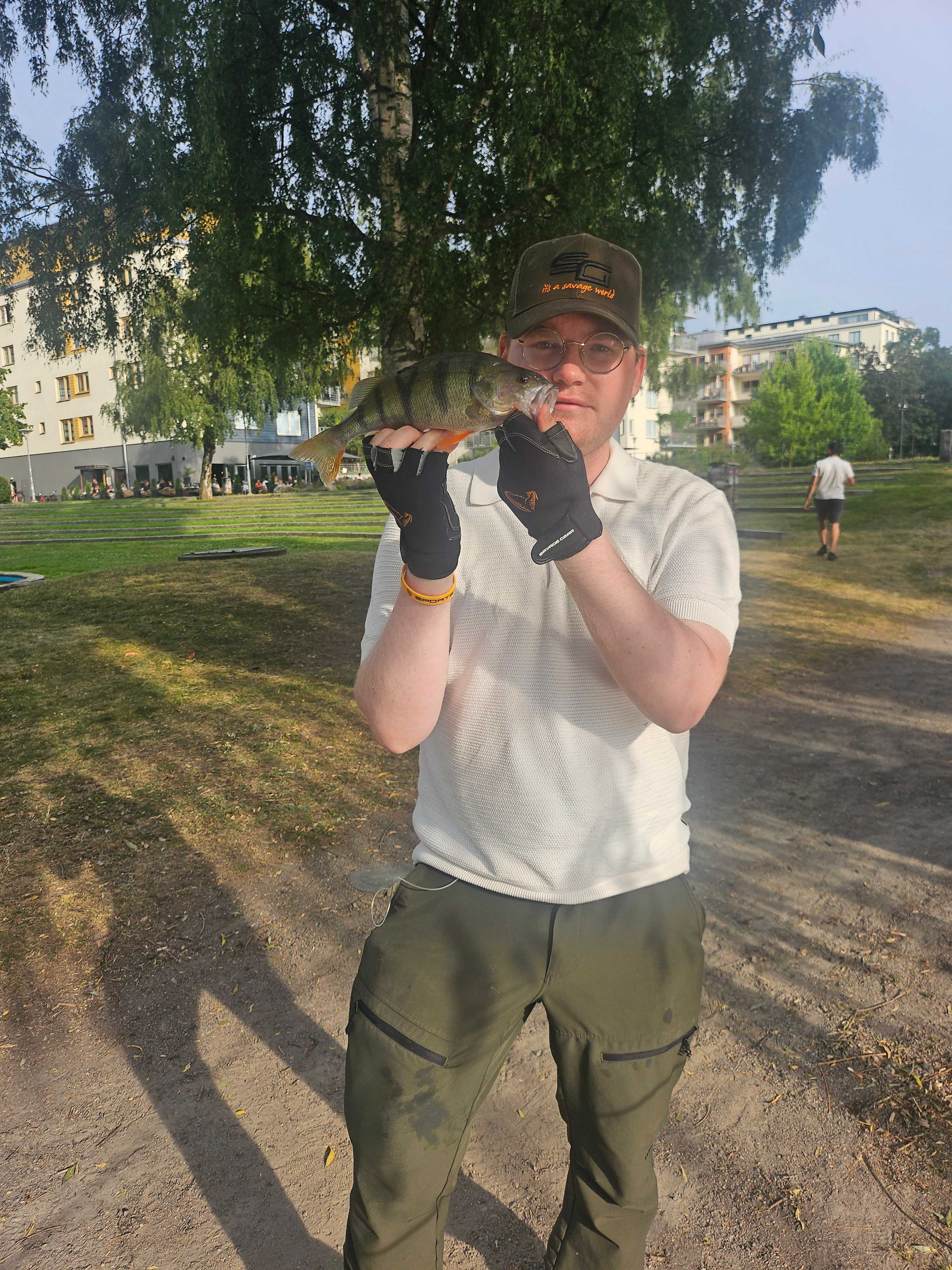 Kuva saaliista