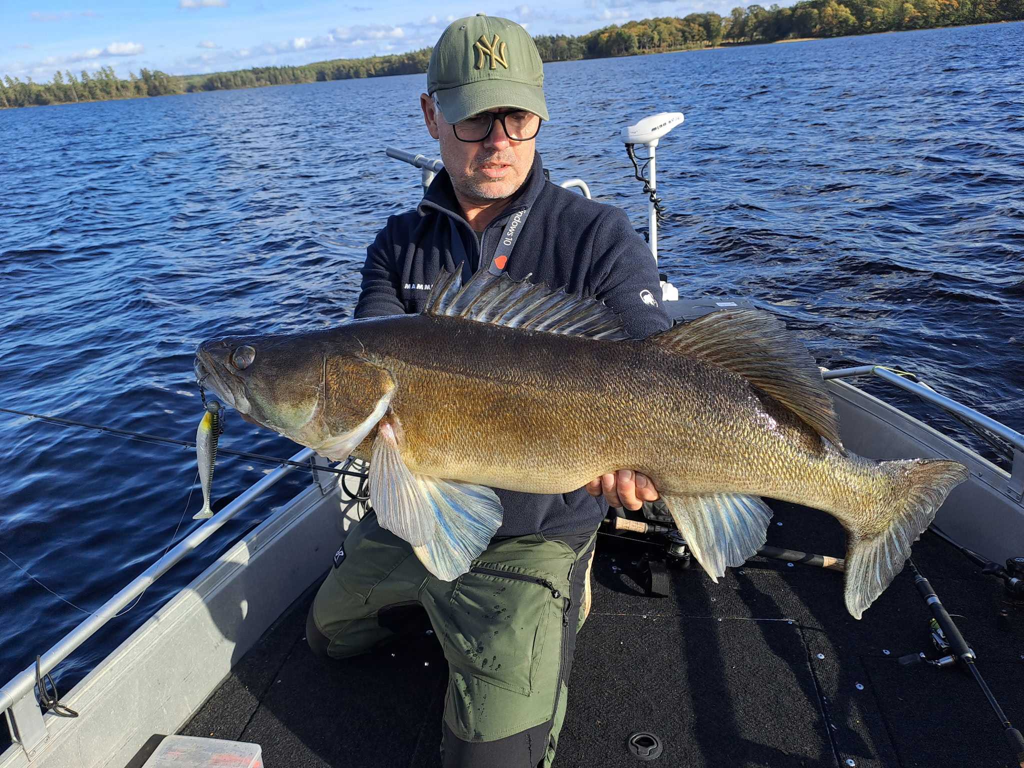 Image of catch