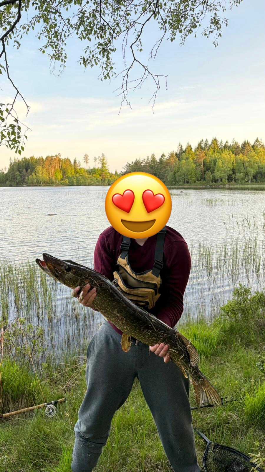 Kuva saaliista