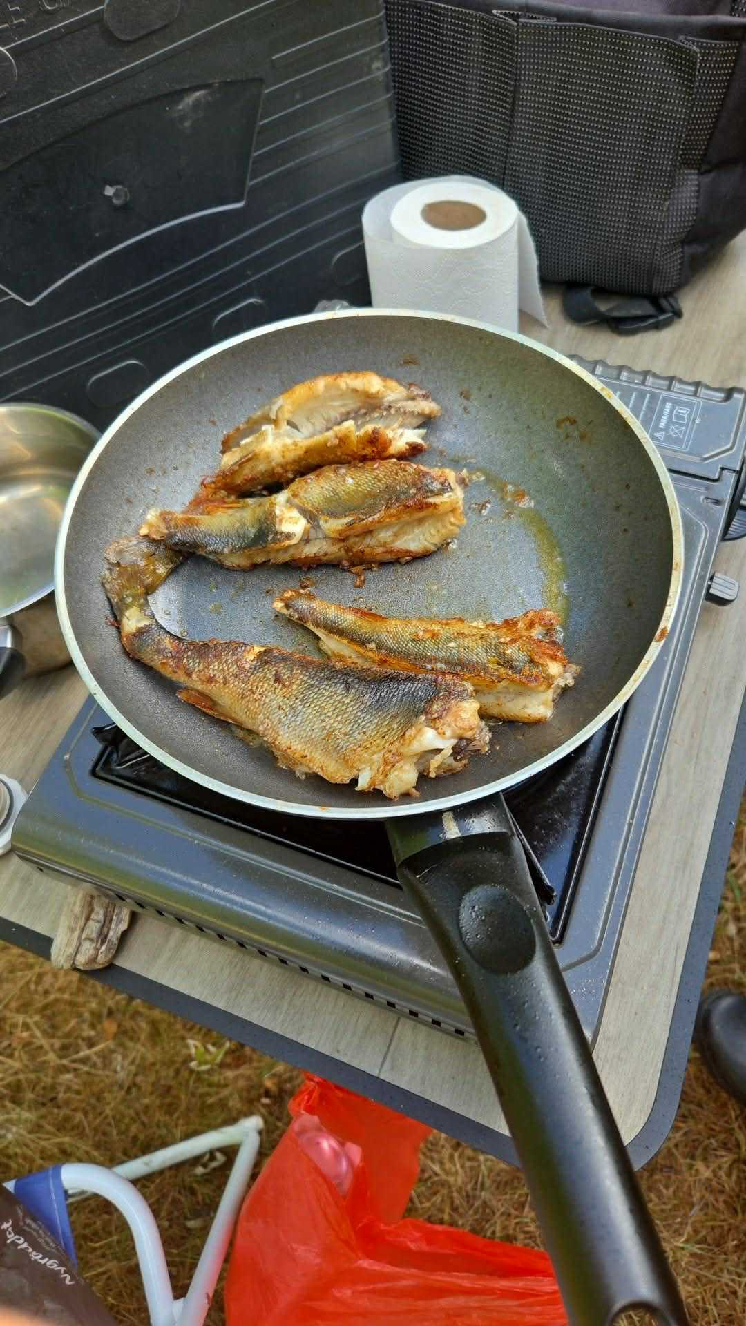 Kuva saaliista