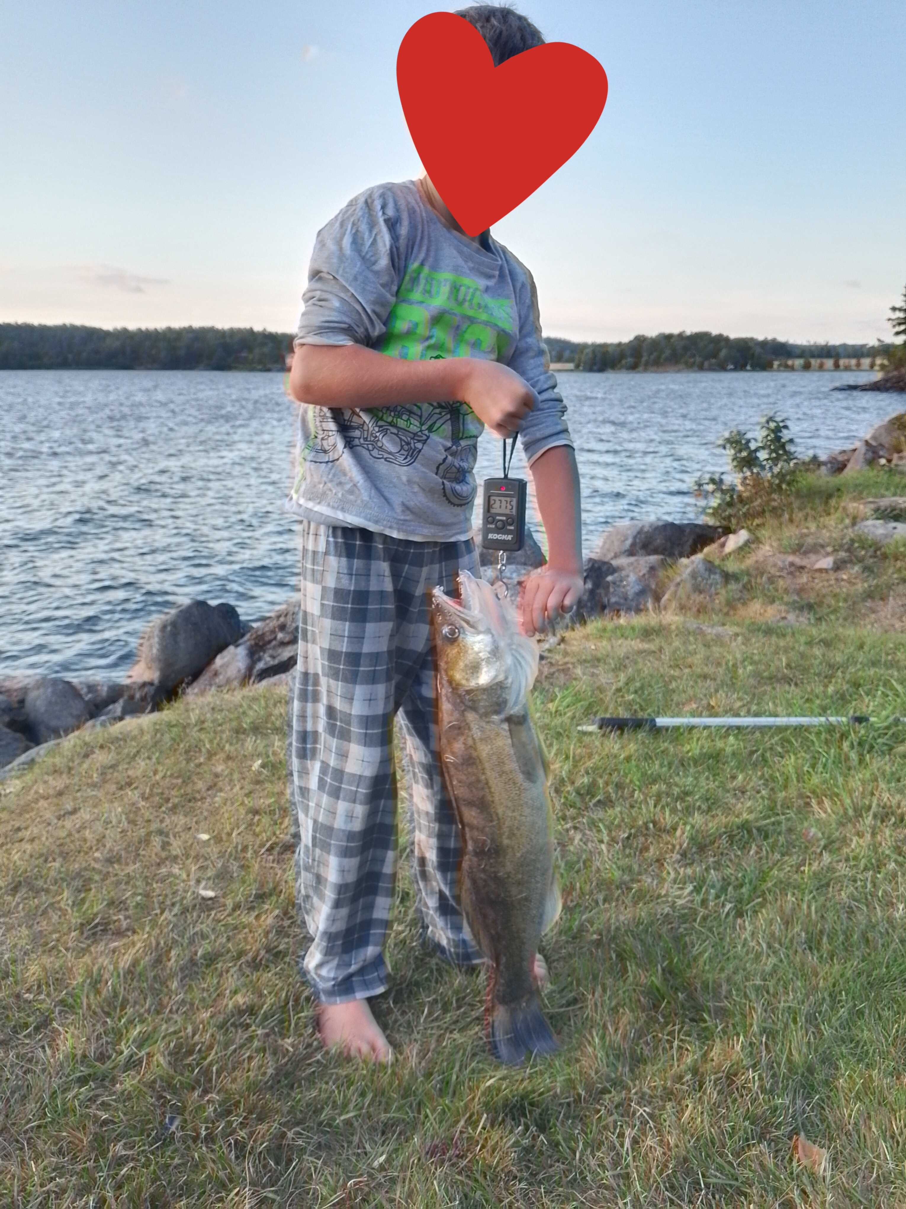 Kuva saaliista