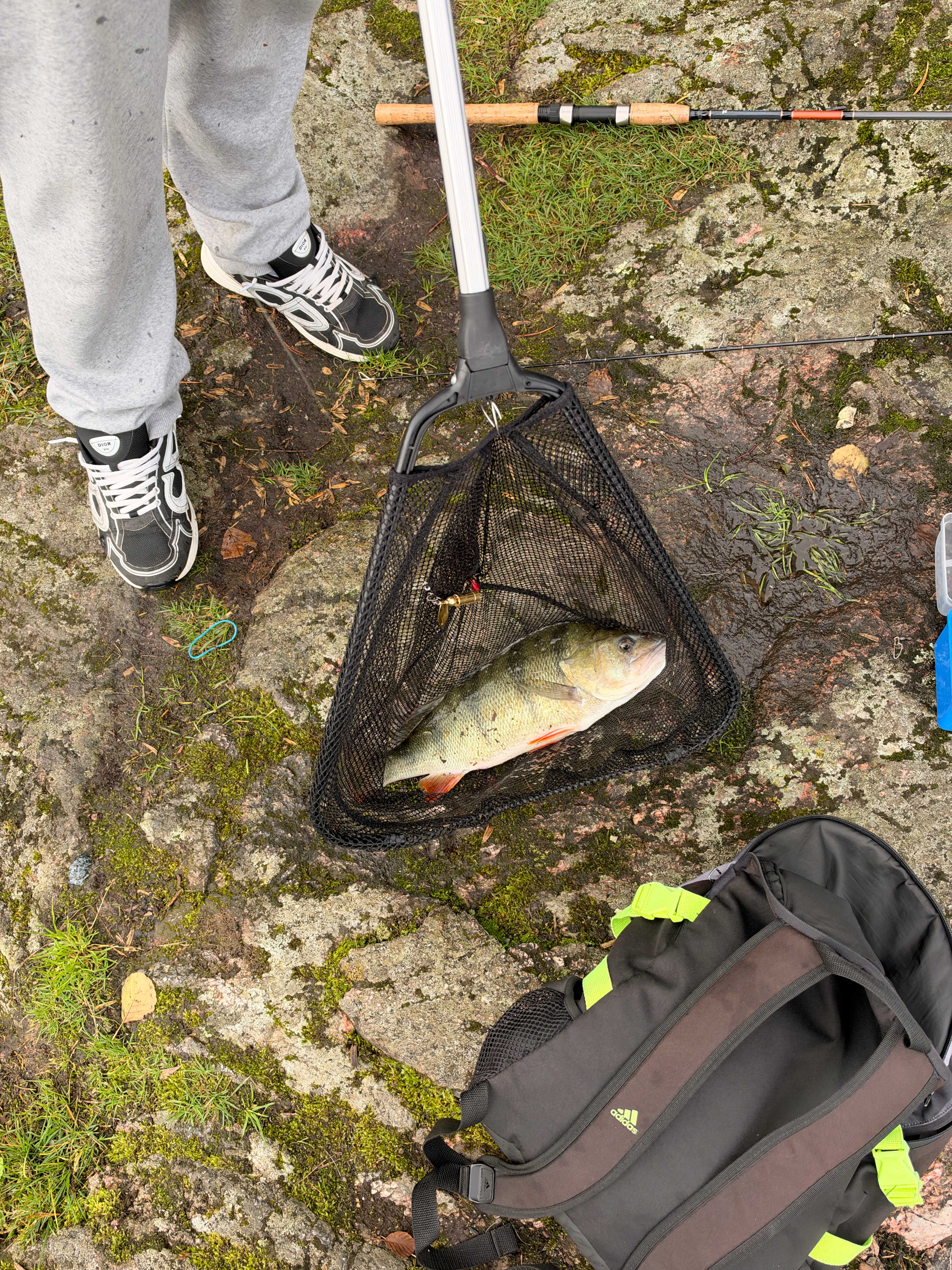 Image of catch