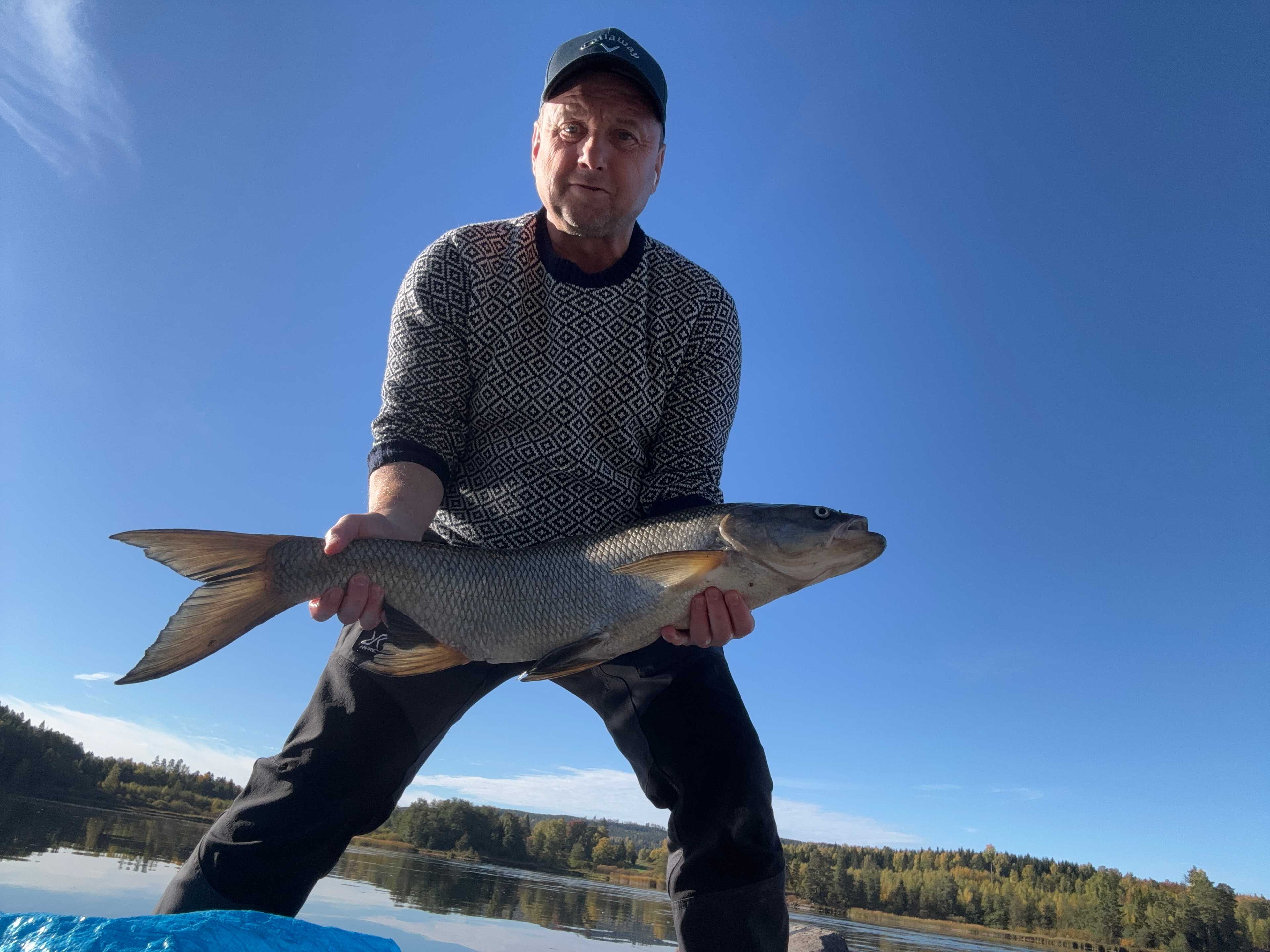 Fångstrapportbild