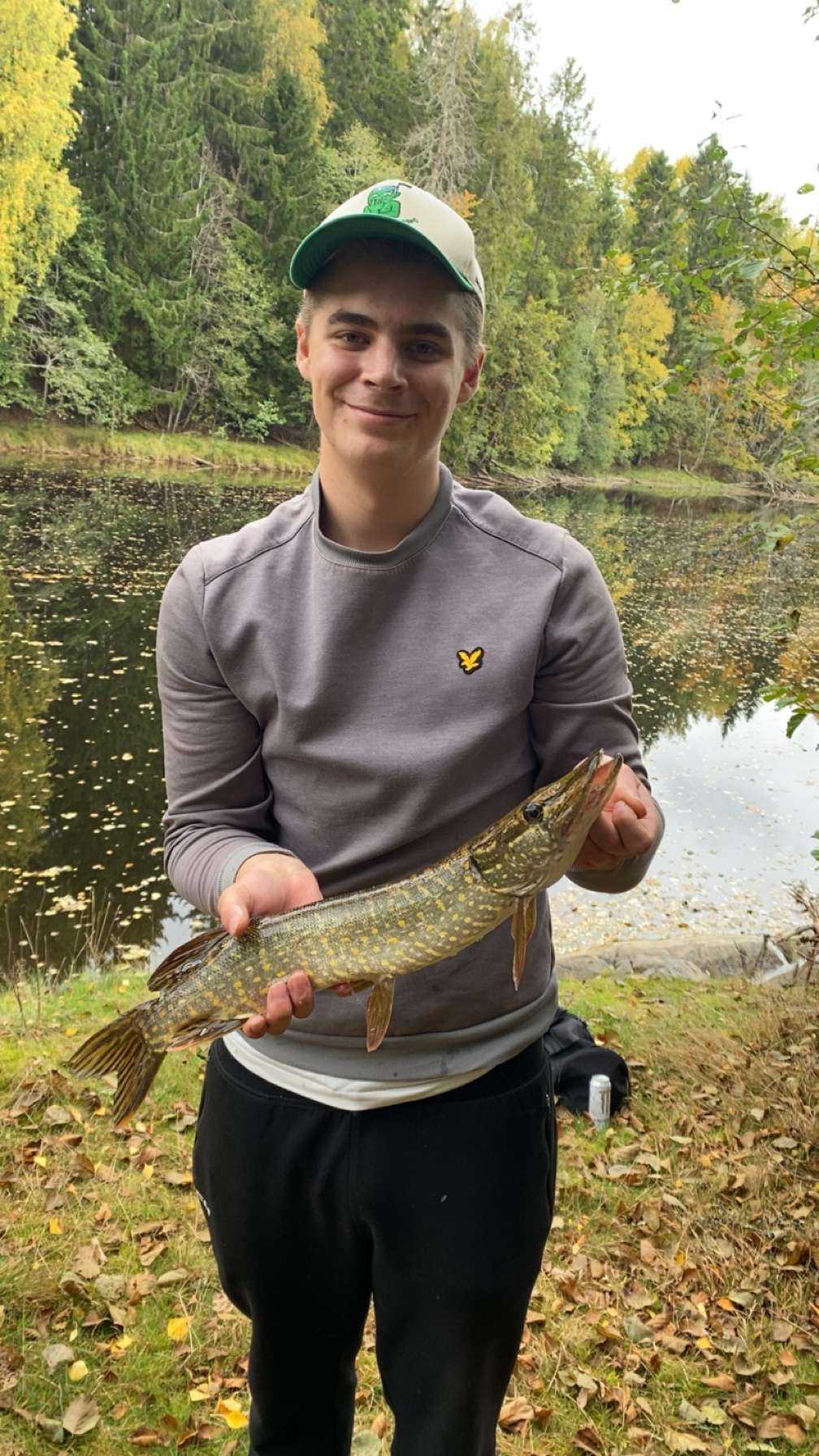 Fångstrapportbild