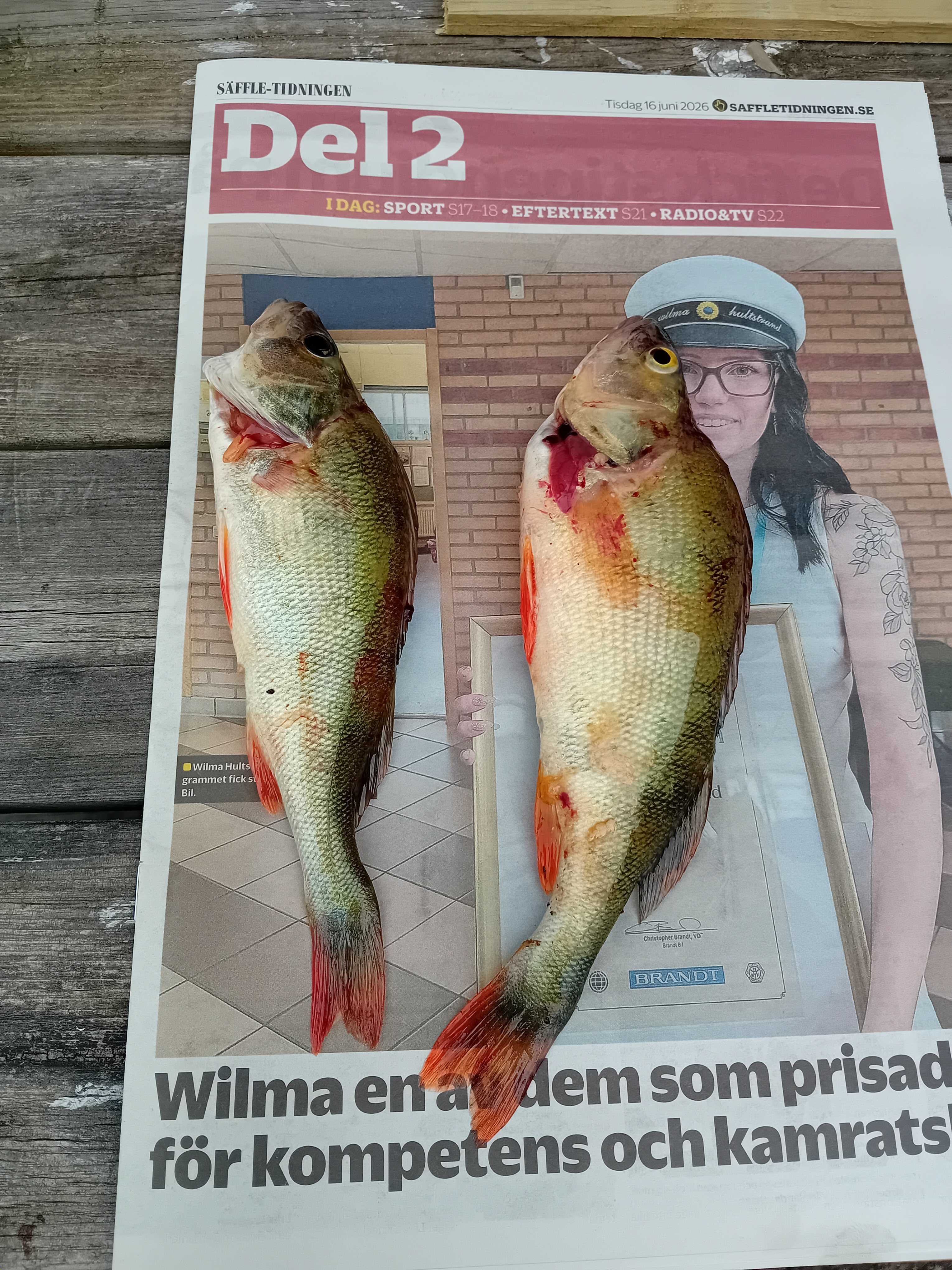Kuva saaliista
