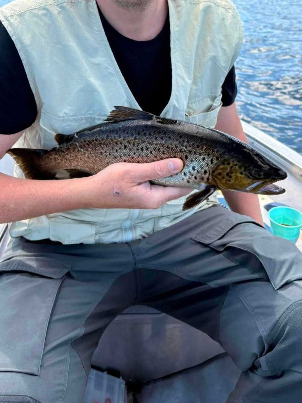 Kuva saaliista