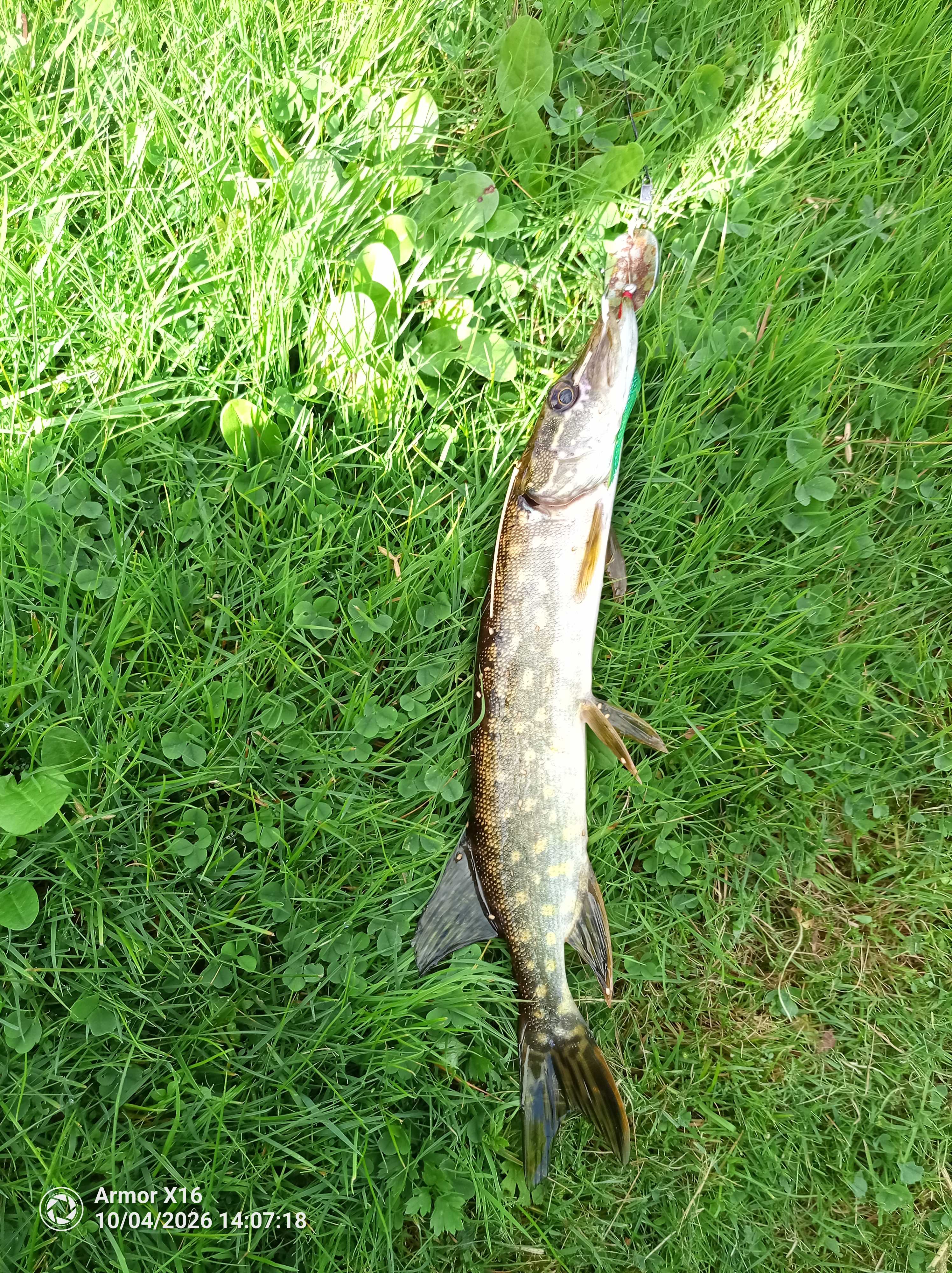 Image of catch