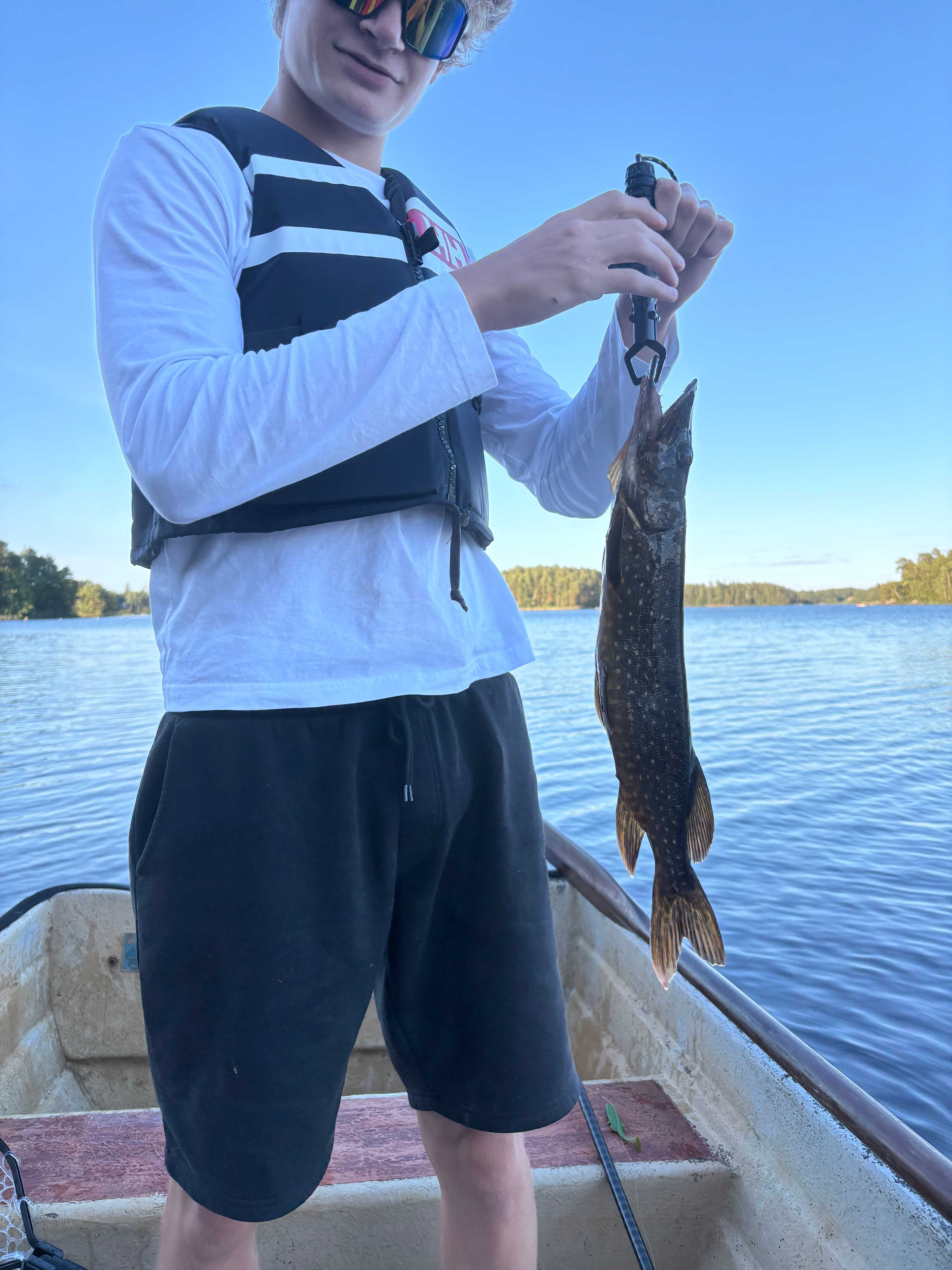 Kuva saaliista