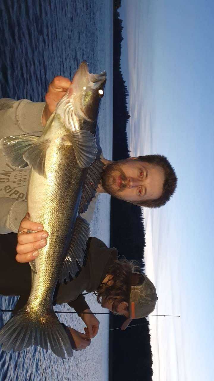 Kuva saaliista