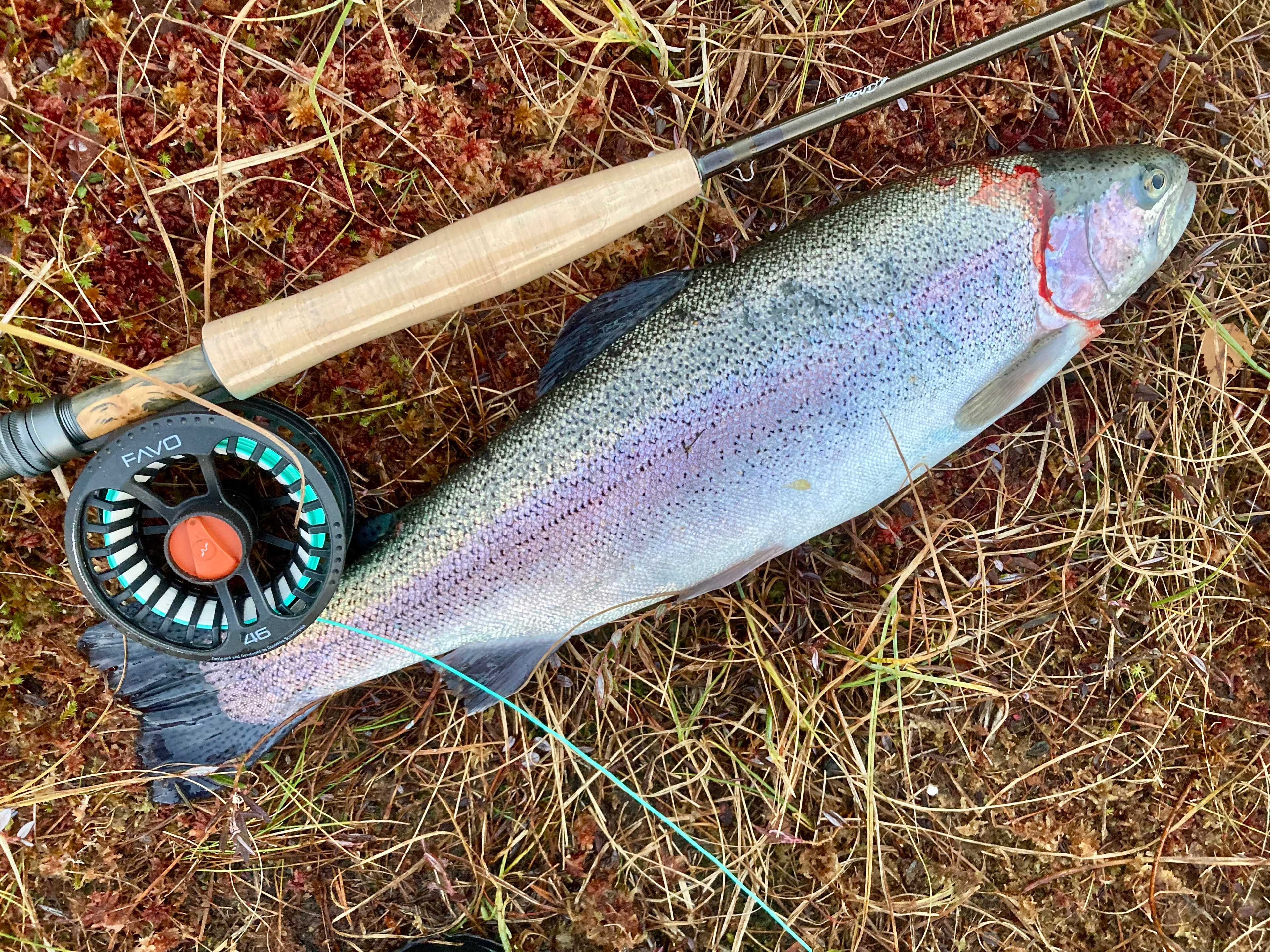 Image of catch
