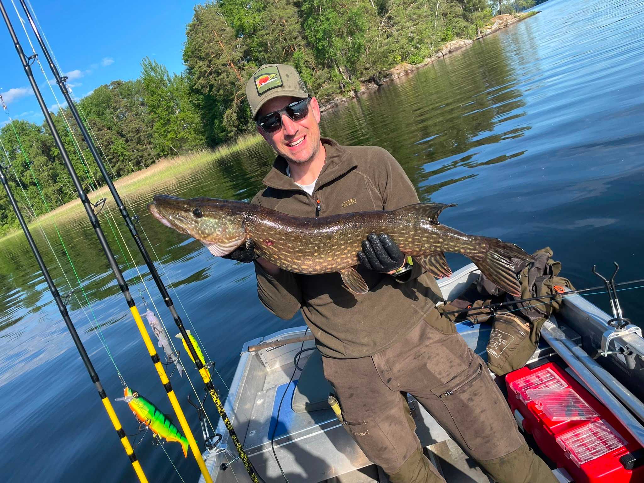 Bild des Fangs