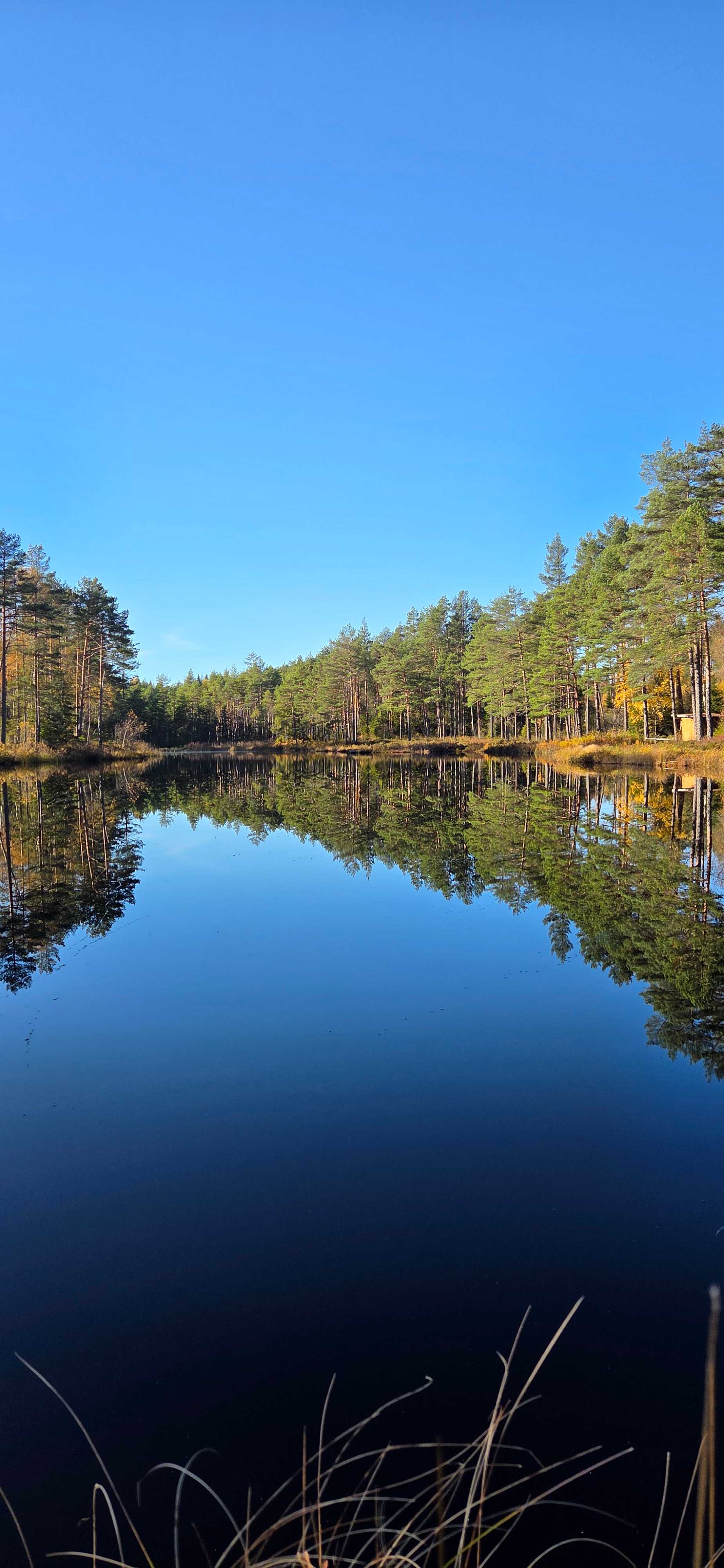 Fångstrapportbild