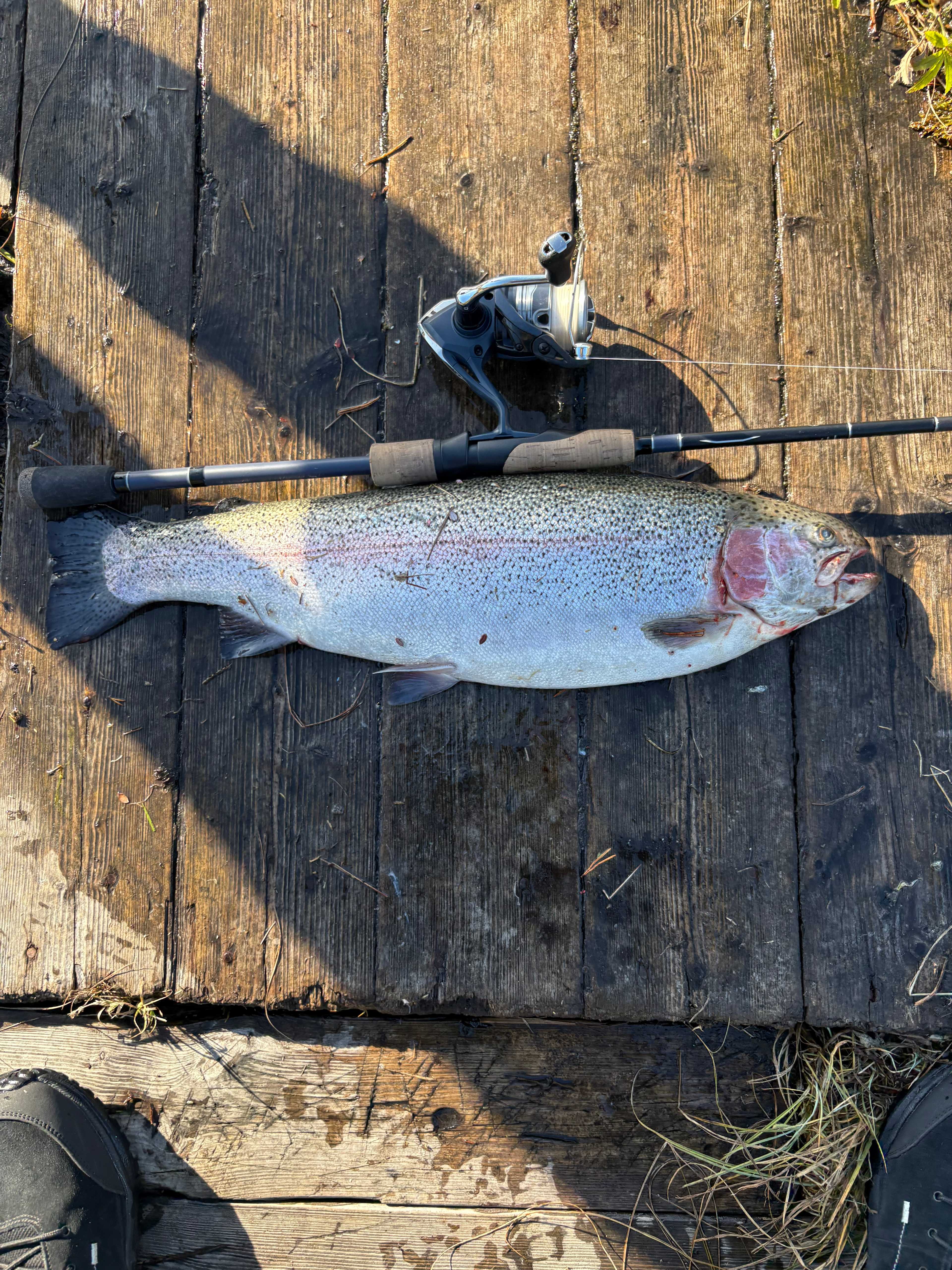 Image of catch