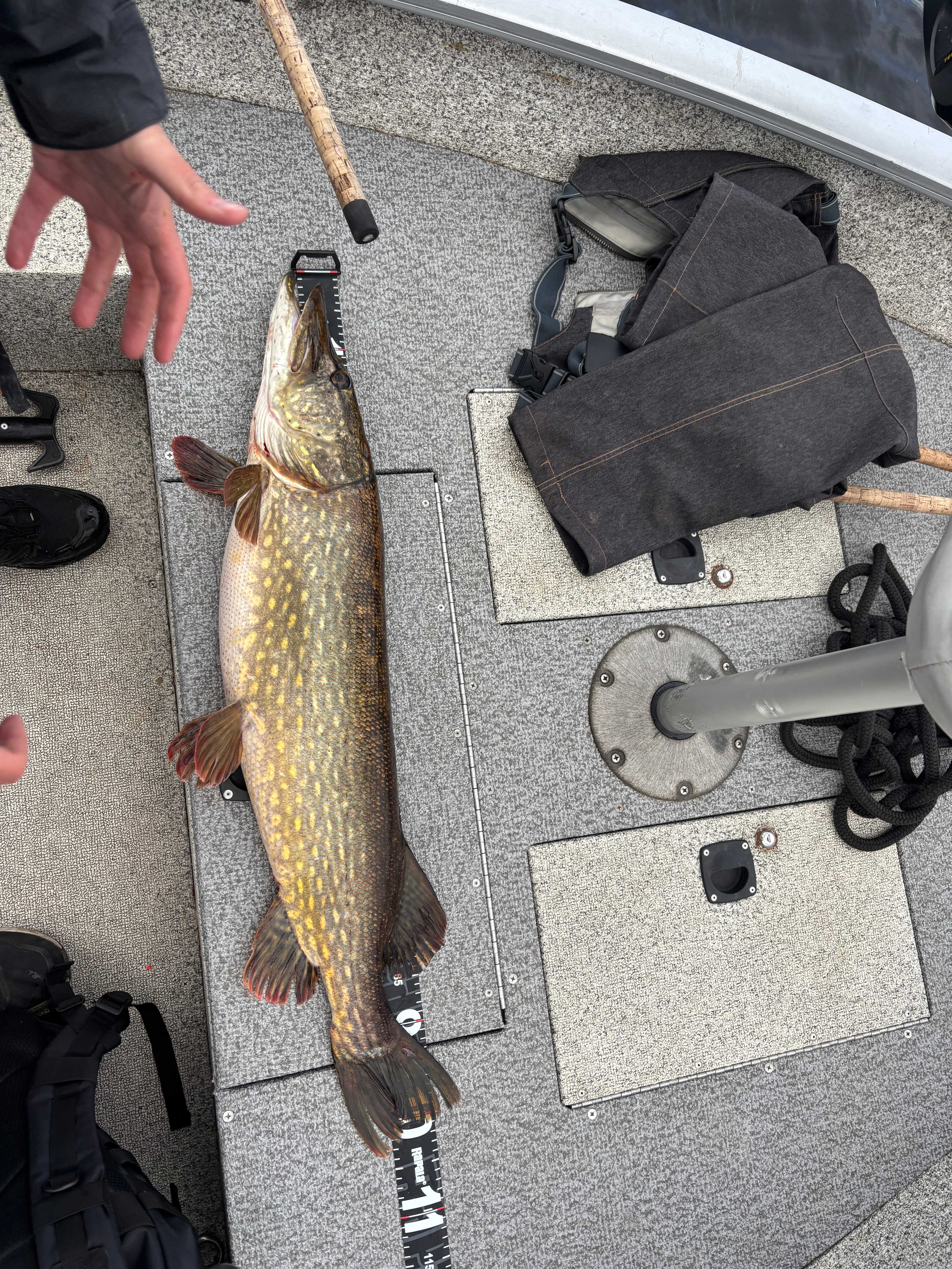Image of catch