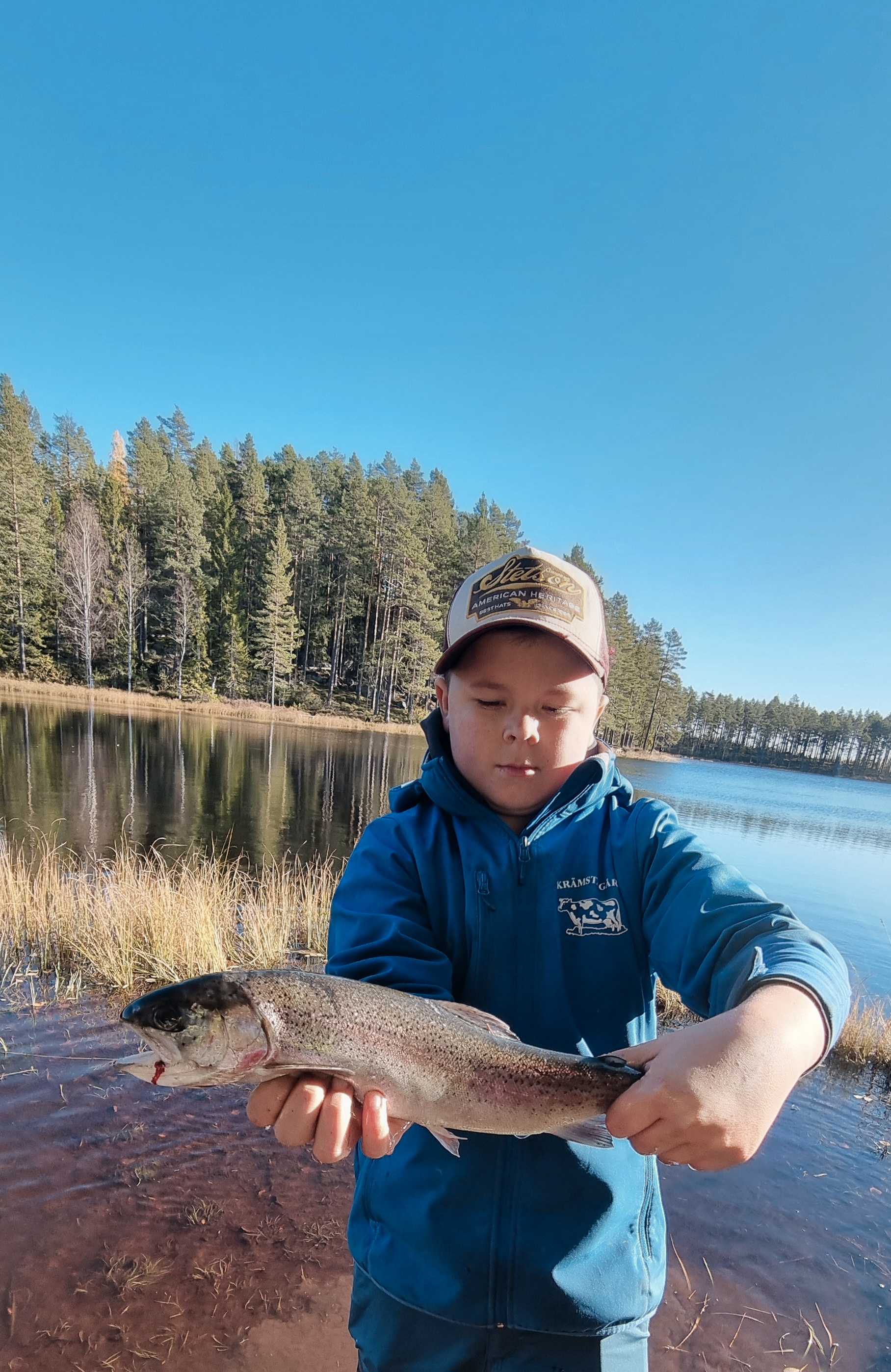 Fångstrapportbild