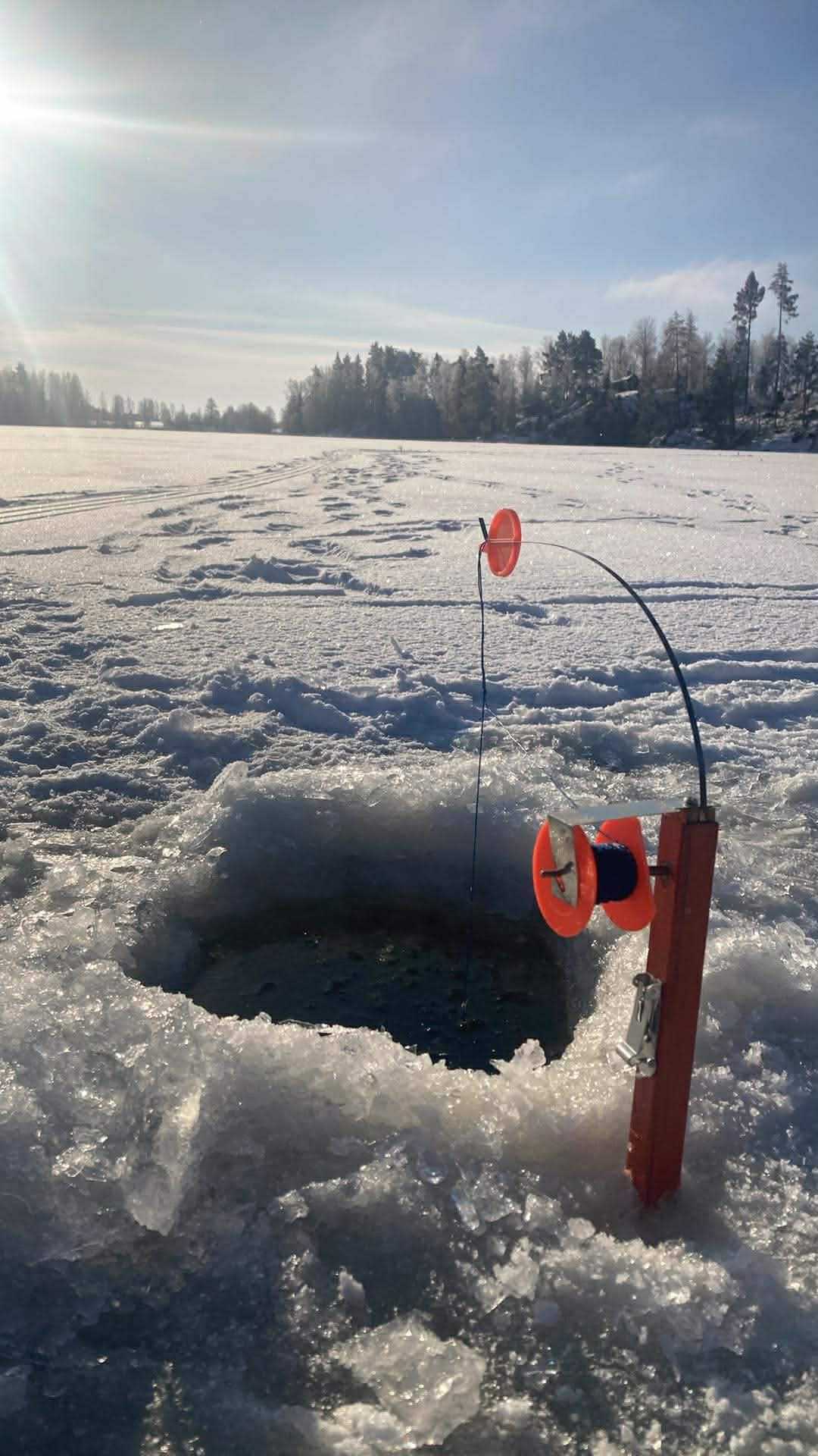 Kuva saaliista