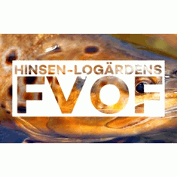 Hinsen-Logärdens FVOF