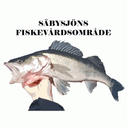 Säbysjöns FVOF