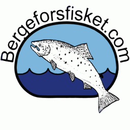Bergeforsens FVOF (Hamrin i Rii AB)