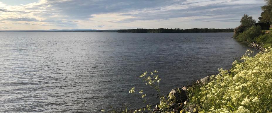 Gåxsjön-Storån - Image 3