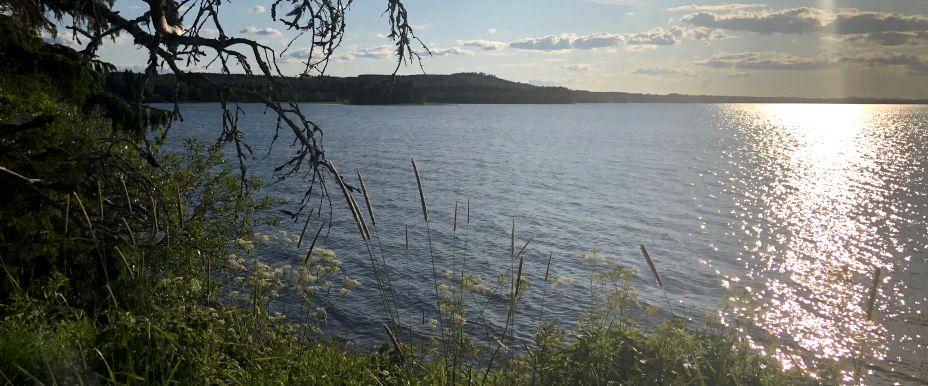 Gåxsjön-Storån - Image 2
