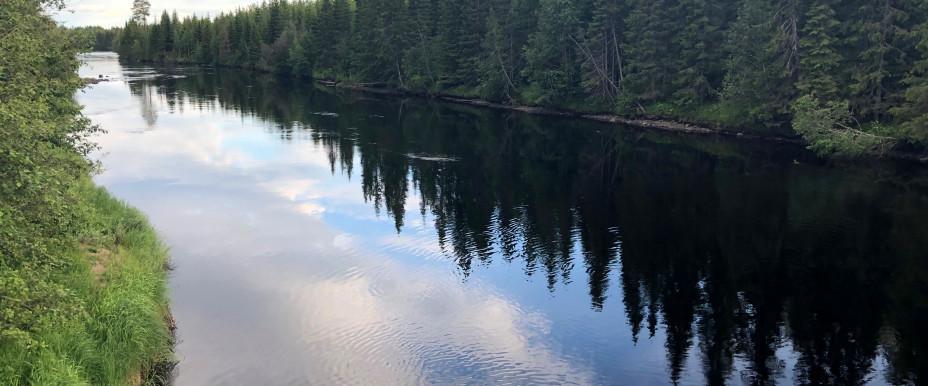 Gåxsjön-Storån - Image 5
