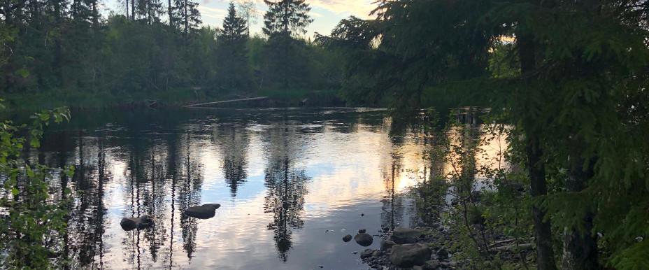 Gåxsjön-Storån - Image 7