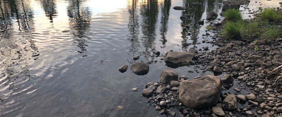 Gåxsjön-Storån - Image 6