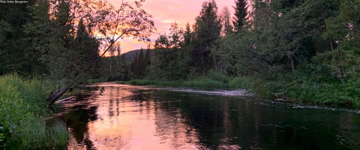 Åvattnet, Bågasjön, Skalmsjösjön och Södra Anundsjöån. - Image 5