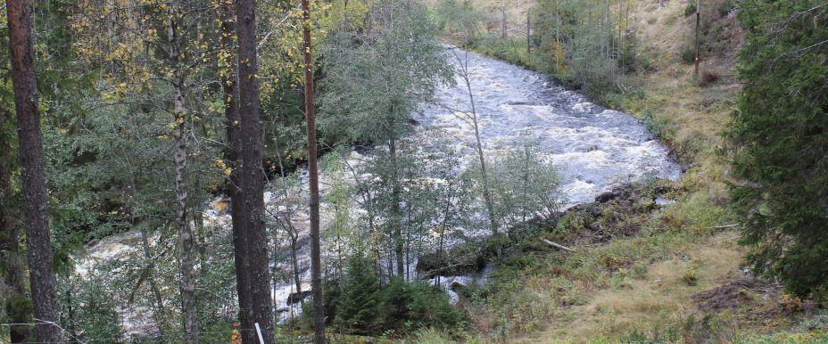 Åvattnet, Bågasjön, Skalmsjösjön och Södra Anundsjöån. - Image 4